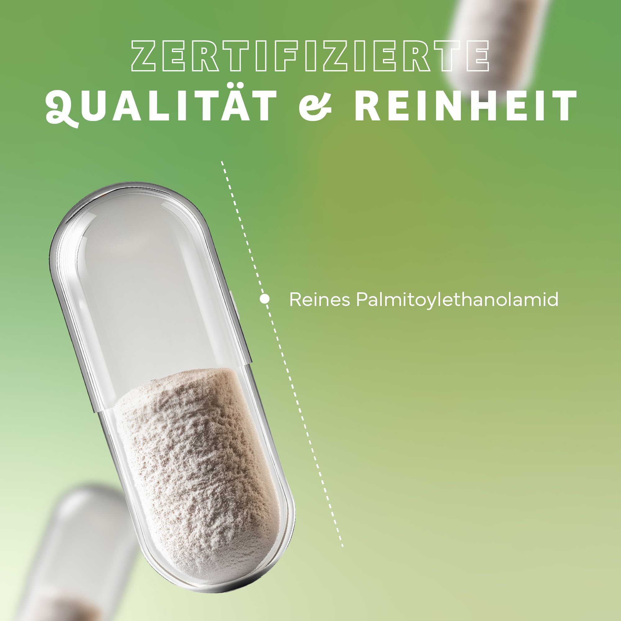 Kapsel mit weißem Pulver. Text: Zertifizierte Qualität & Reinheit. Reines Palmitoylethanolamid. Grüner Hintergrund.