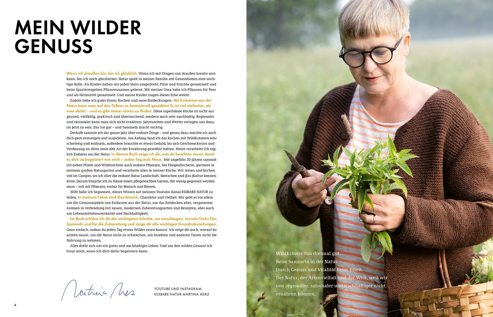 Wildkräuter - Bestimmen, Sammeln, Zubereiten