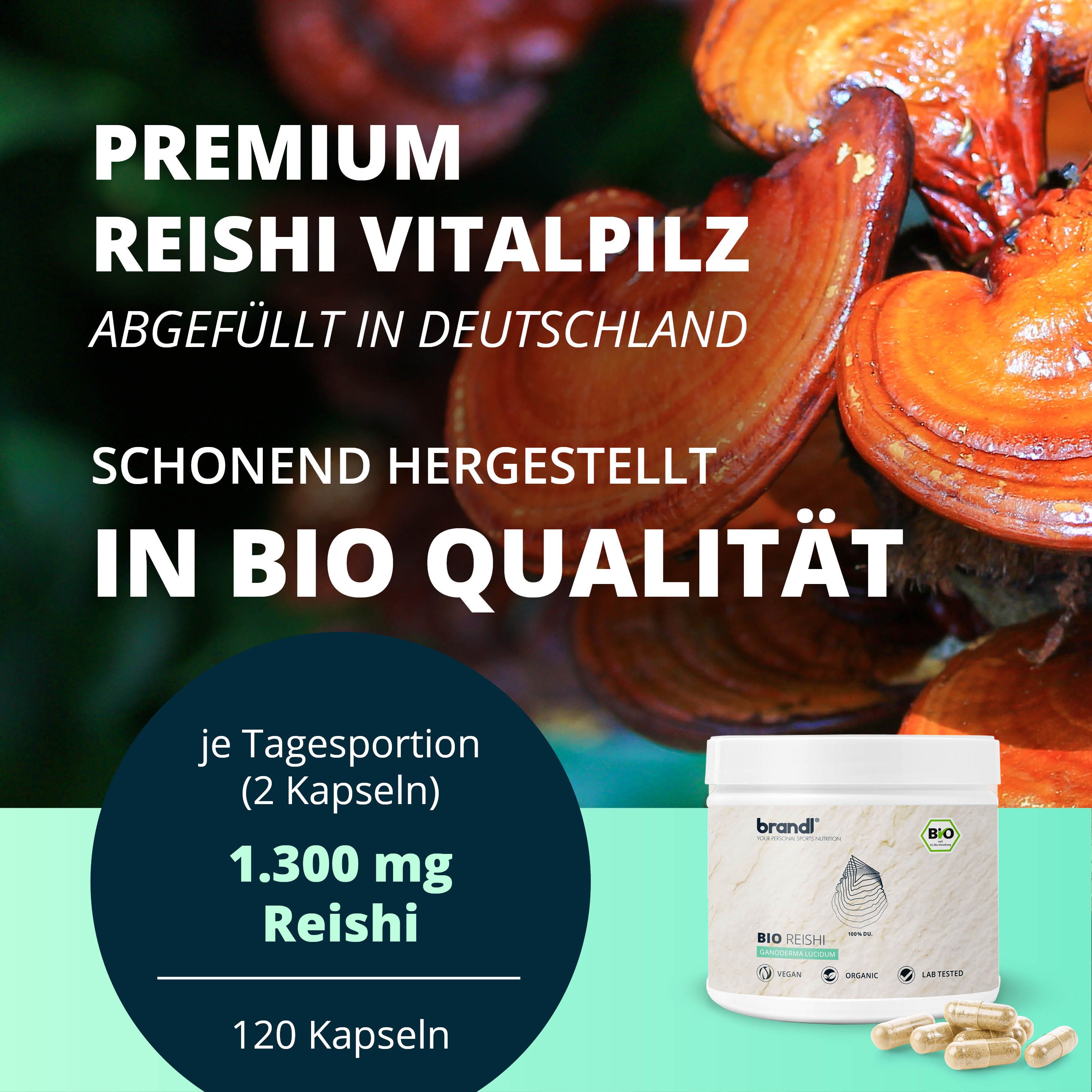 brandl® Bio Reishi Vitalpilz 120 St Kapseln