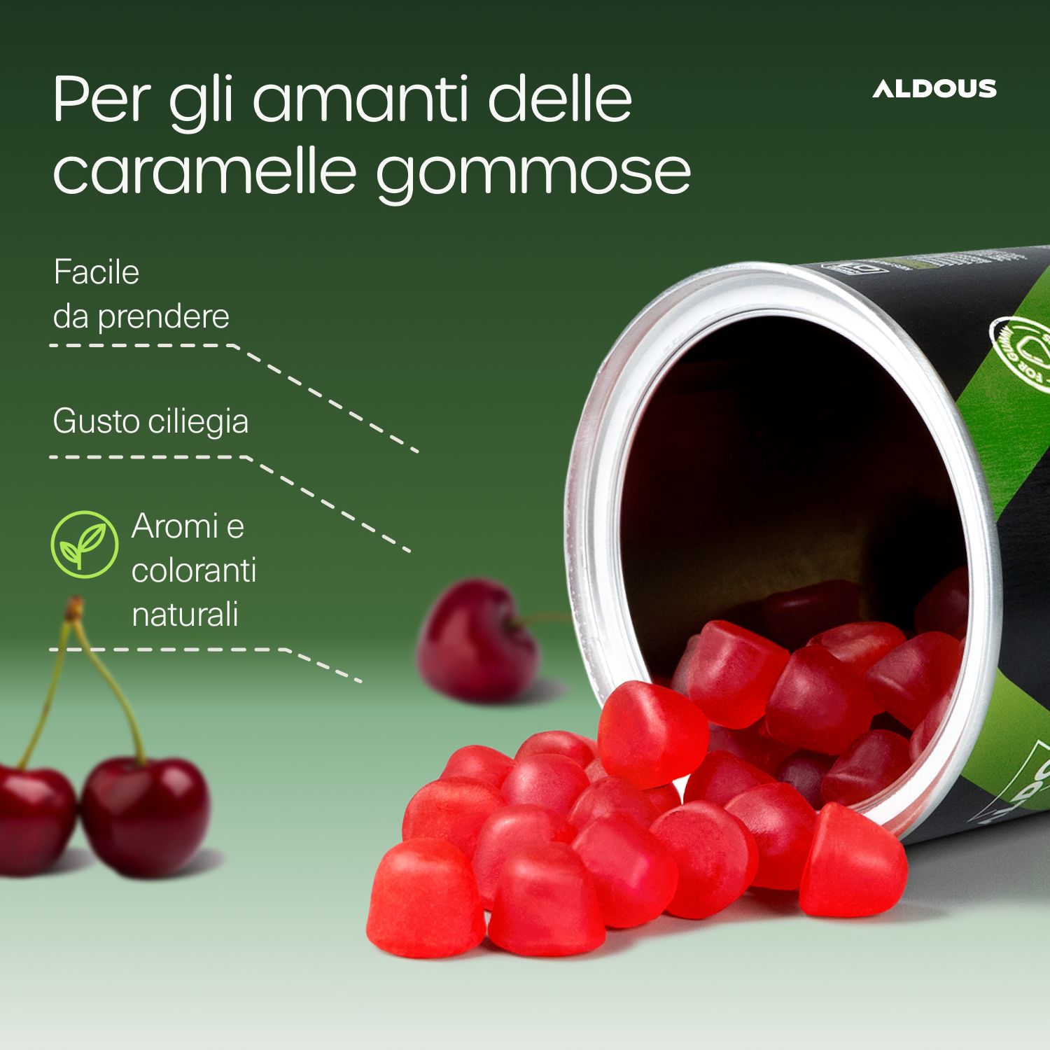Aldous Probiotika Gummies aus umgekippter Dose, Kirschen und Gummys auf dem Tisch.