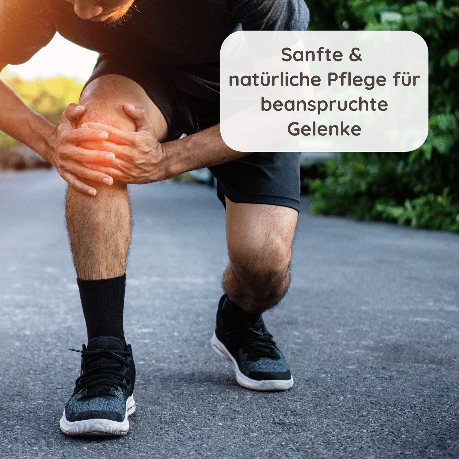 Schlosskräuter Gelenkschmeichler Gelenksalbe