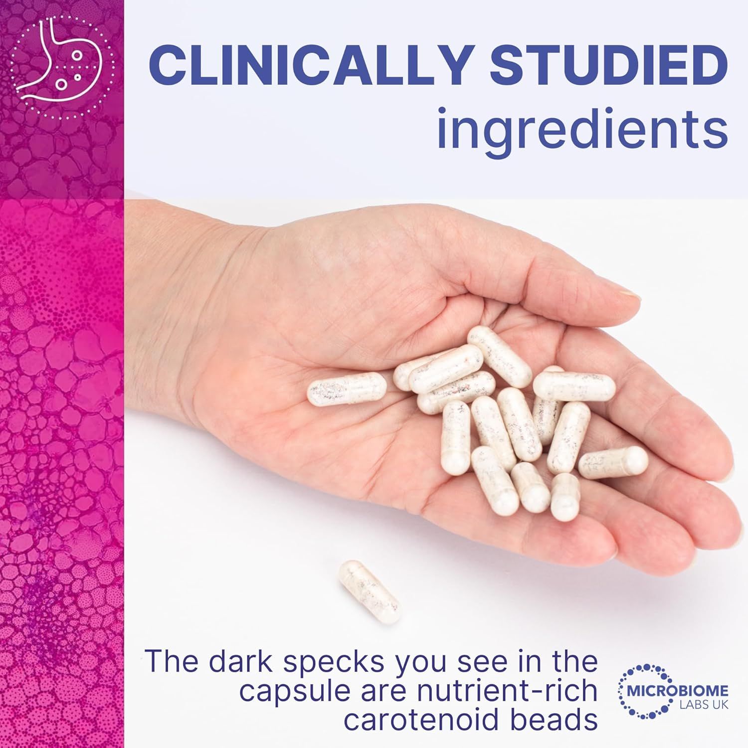 Microbiome Labs MegaSporeBiotic Plus