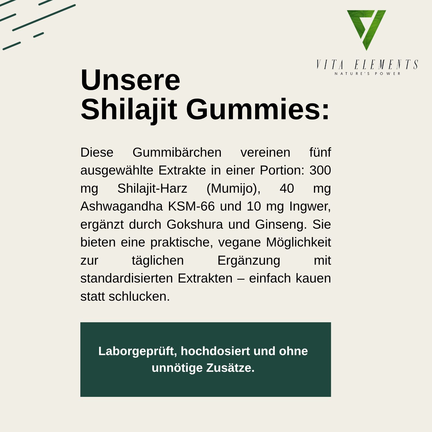 Vita Elements Himalaya Shilajit Gold Gummibärchen