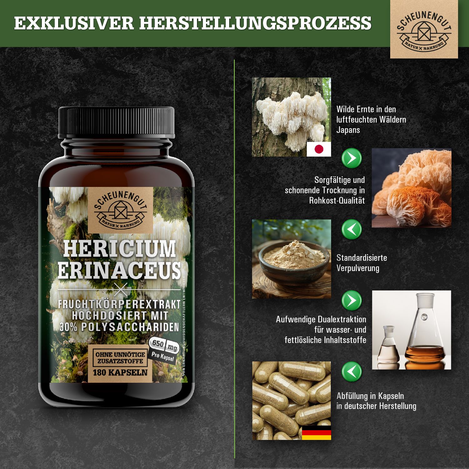 Scheunengut® Lions Mane | hochdosierter Hericium Erinaceus Extrakt 30:1 30% Polysaccharide 180 St Kapseln