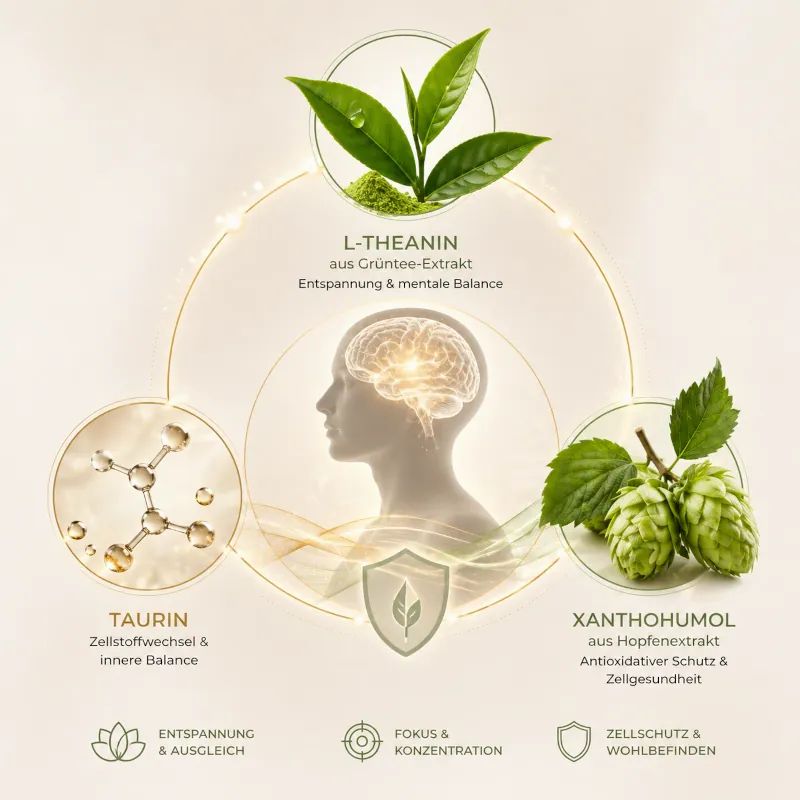 Heilnatura Dr. Schiffmann's ZenFusion