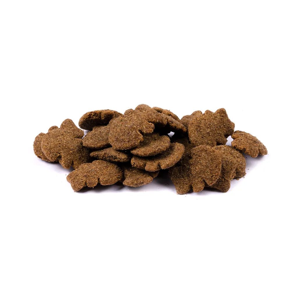 Brit Care Dog - Crunchy Cracker - Insects with Salmon enriched with Thyme