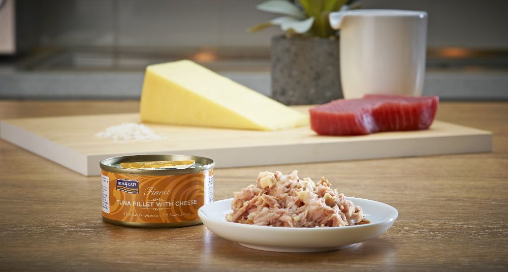 Thunfischfilet mit Käse, Zutaten und Dose. Dose, Käse, Thunfisch und Reis auf Holzbrett und Teller.