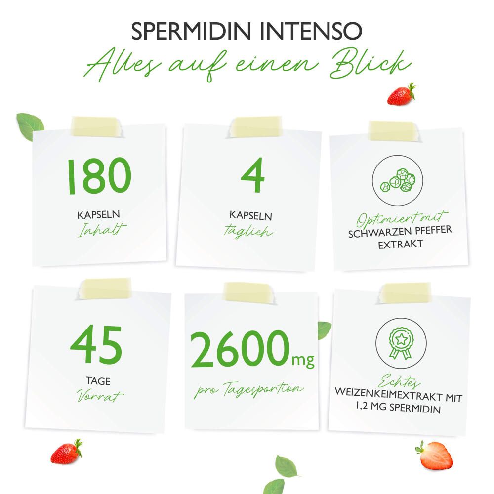 Infografik mit "Spermidin Intenso". 6 Notizzettel mit Informationen: Kapseln, Tagesdosis, Inhaltsstoffe, Vorrat, Menge, Zertifizierung.