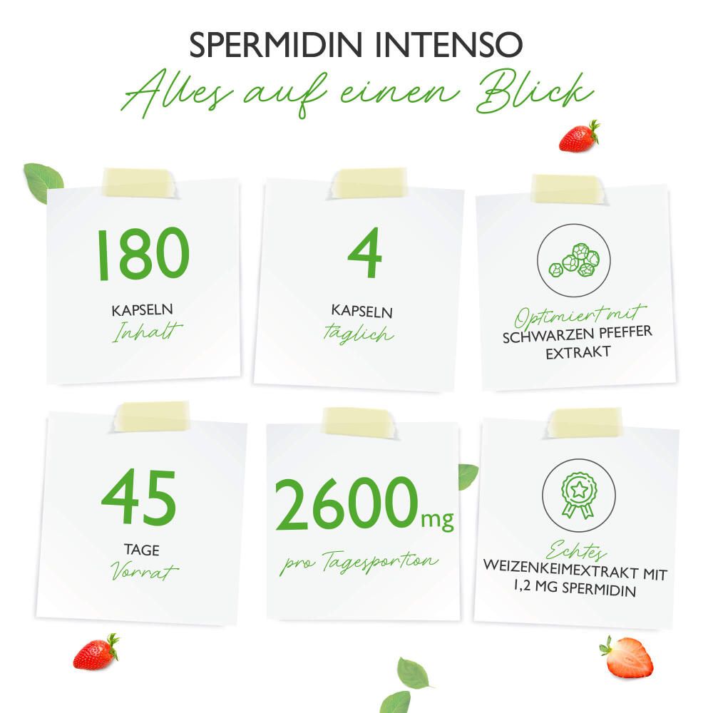 vit4ever Spermidin Intenso 180 St Kapseln