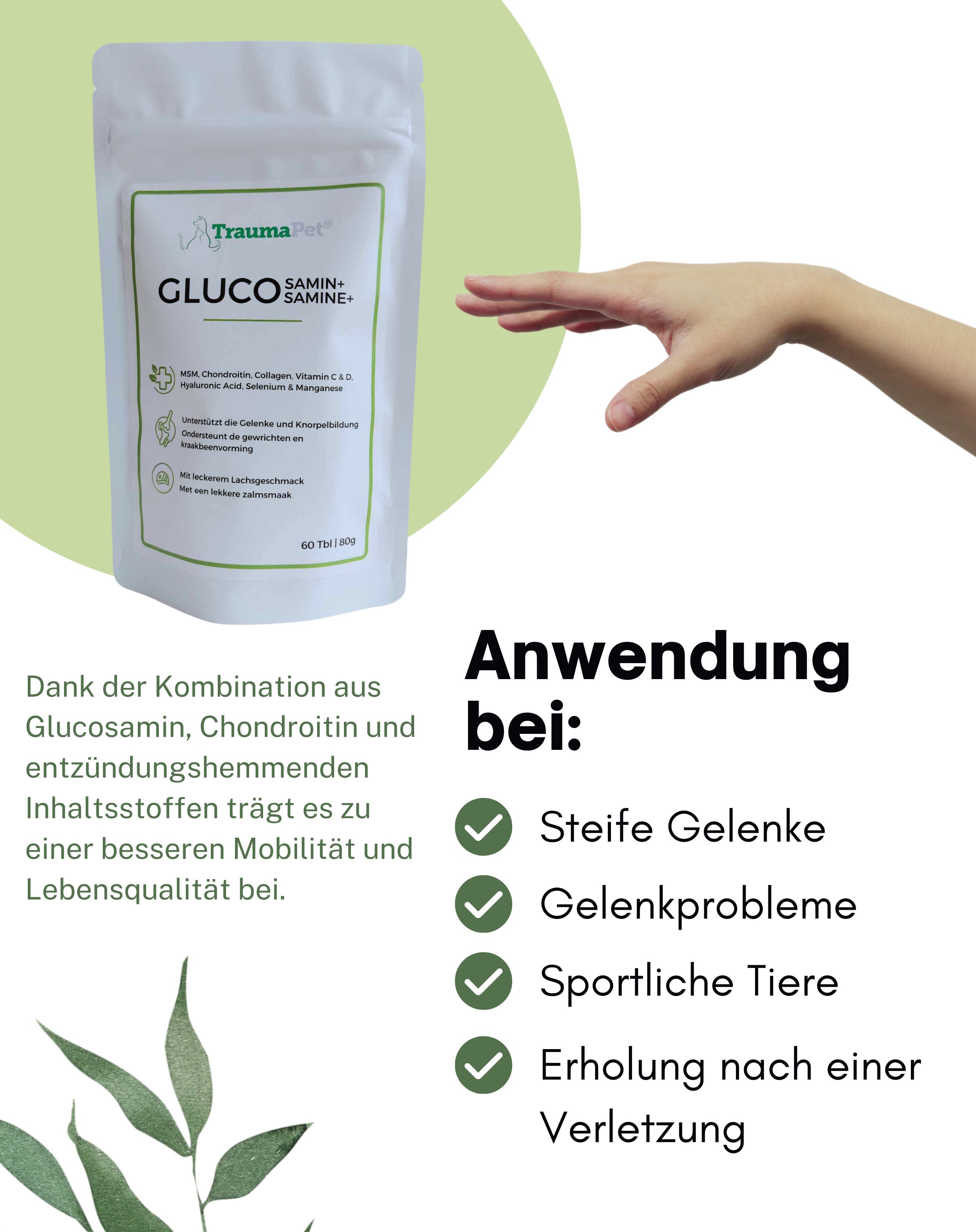 TraumaPet Glucosamin+ für Hunde und Katzen