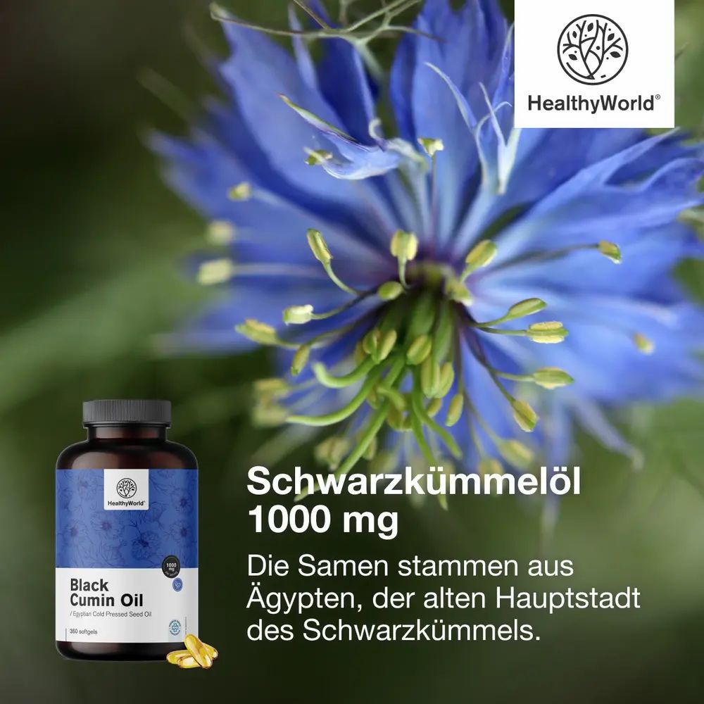 Blaue Blume. Flasche mit Kapseln. Text: Schwarzkümmelöl 1000 mg. Die Samen stammen aus Ägypten. Marke: HealthyWorld.