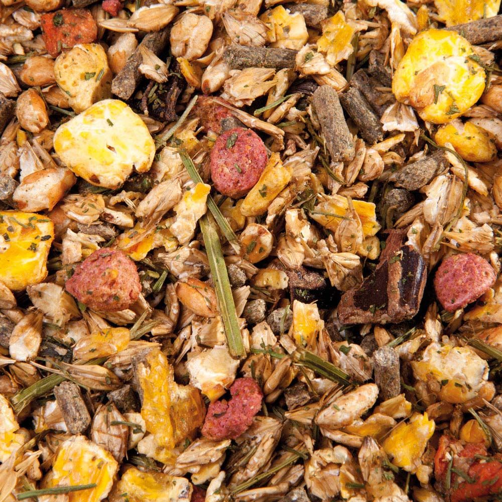 Nahaufnahme von Kräuter Müsli. Verschiedene Bestandteile: Getreide, Gemüse, Kräuter. Farben: Gelb, Braun, Rot, Grün.