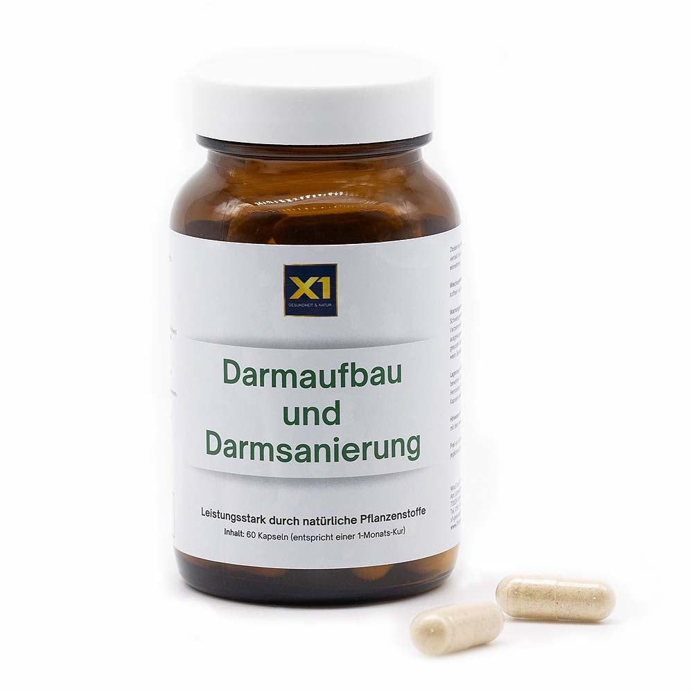 X1 Darmaufbau und Darmsanierung 60 St