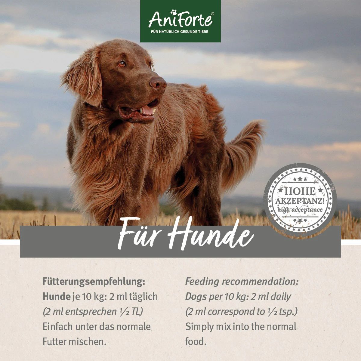 Hund auf Feld. Text: Für Hunde. Fütterungsempfehlung. AniForte Logo.