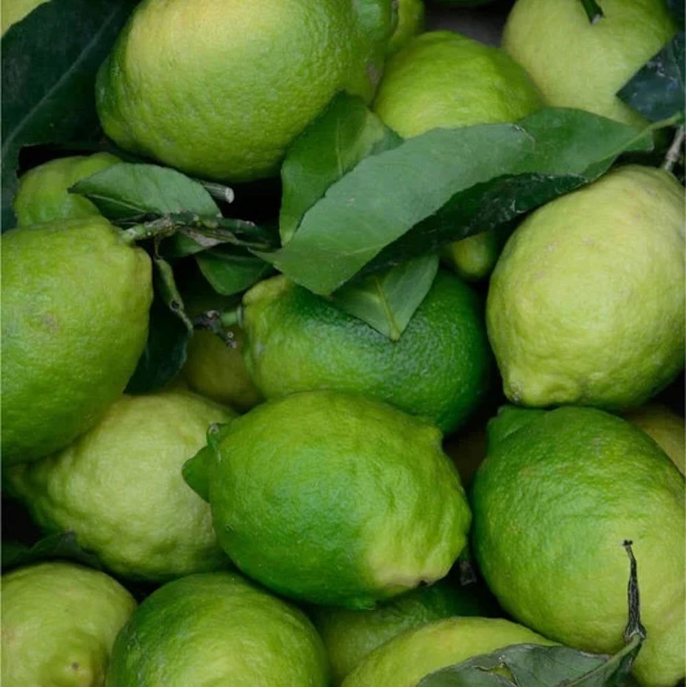 Zero Skin Renew & Glow Face & Body Exfoliator, glättend strahlkraftfördernd mit Kojicsäure