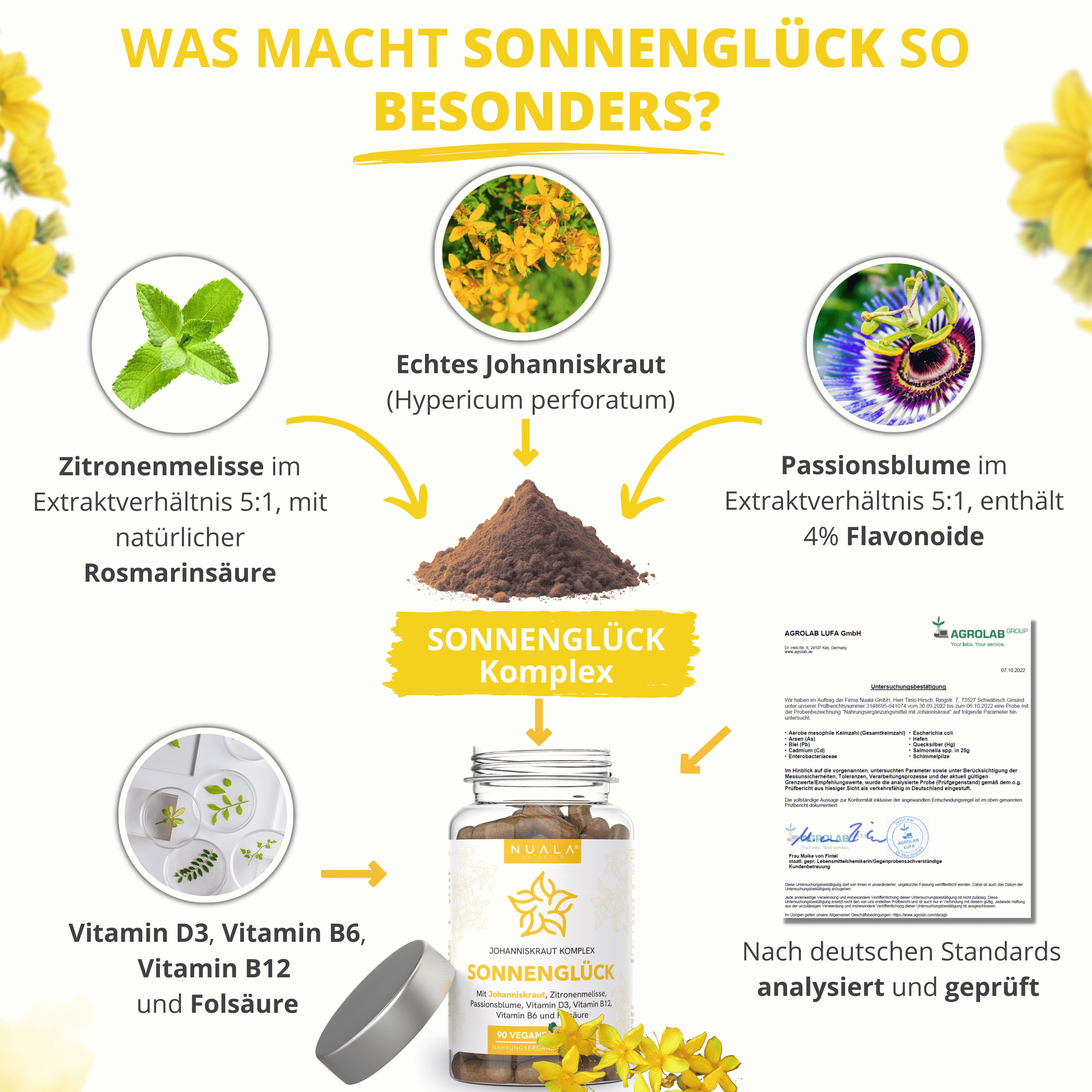 Infografik mit Zutaten und Inhaltsstoffen. Zeigt Johanniskraut, Zitronenmelisse, Passionsblume, Vitamin D3, B12 und Folsäure.