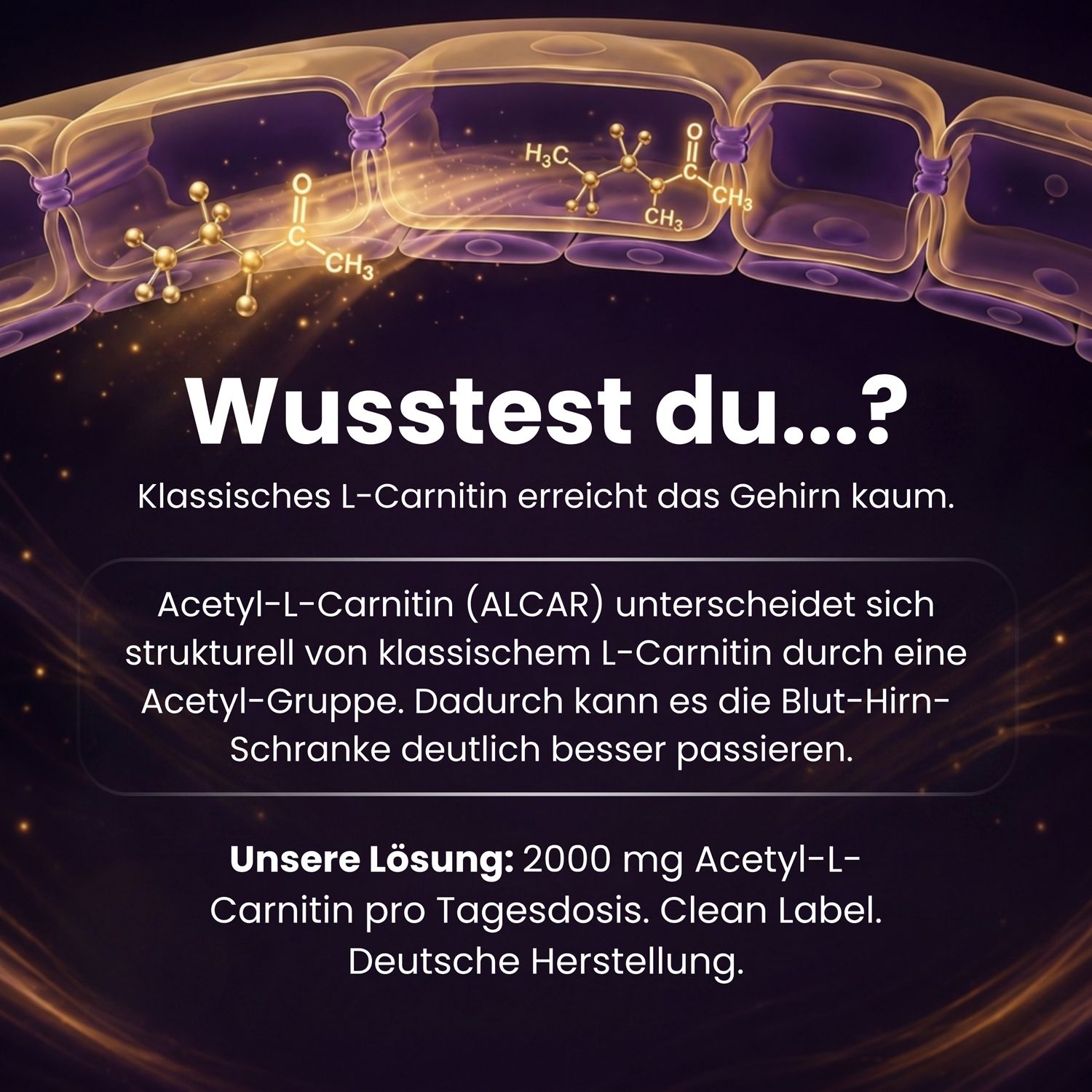 Vergleich von L-Carnitin und Acetyl-L-Carnitin, Darstellung der Acetylgruppe.