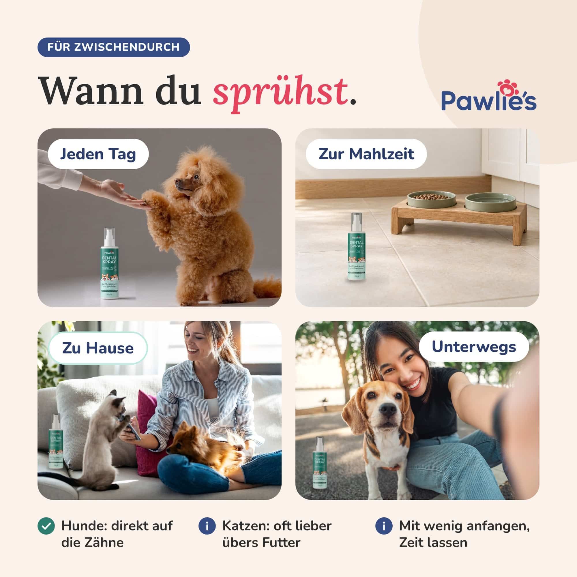 Anwendungsszenarien für Pawlie's Dental Spray: täglich, zur Mahlzeit, zu Hause, unterwegs.