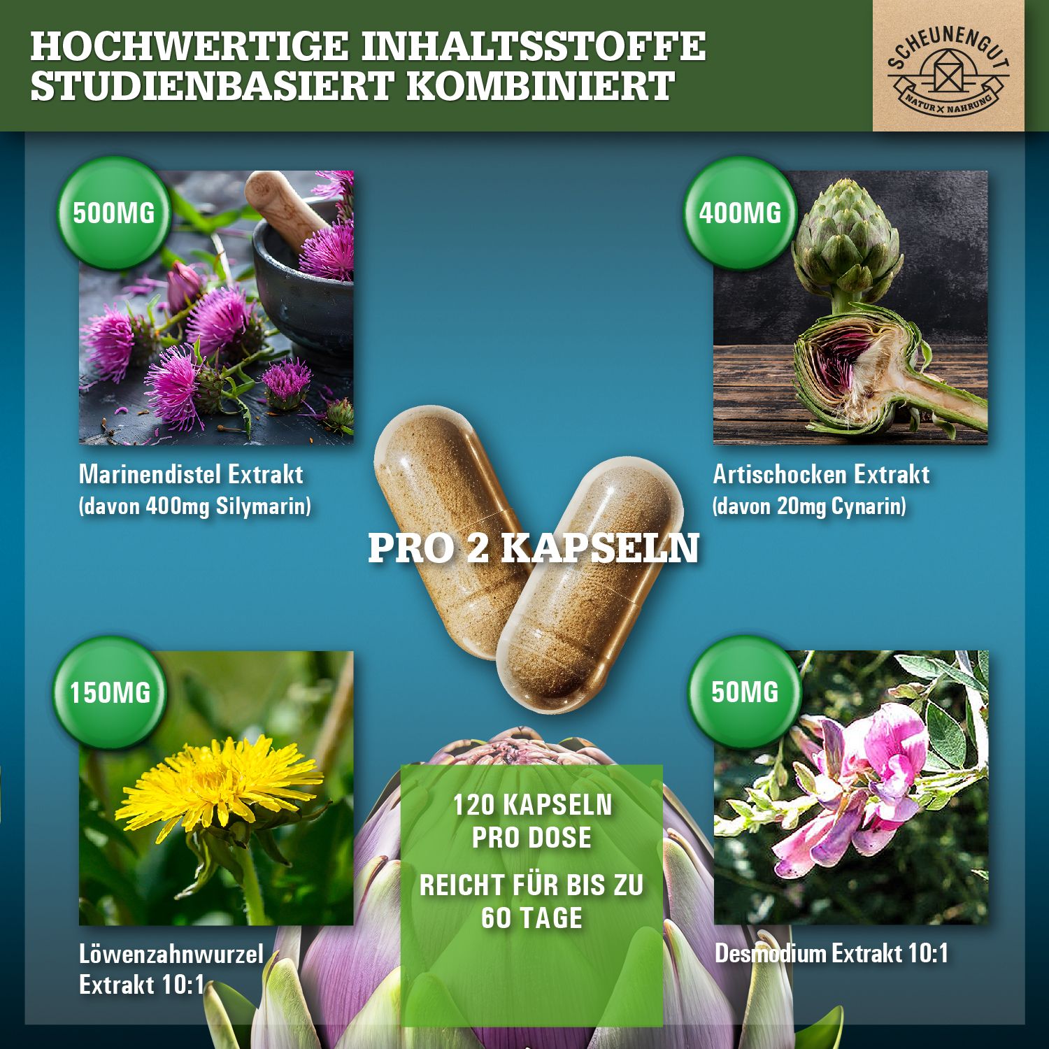Scheunengut® LEBER INTENSO | Hochdosierte Leber Kapseln 100% natürlich