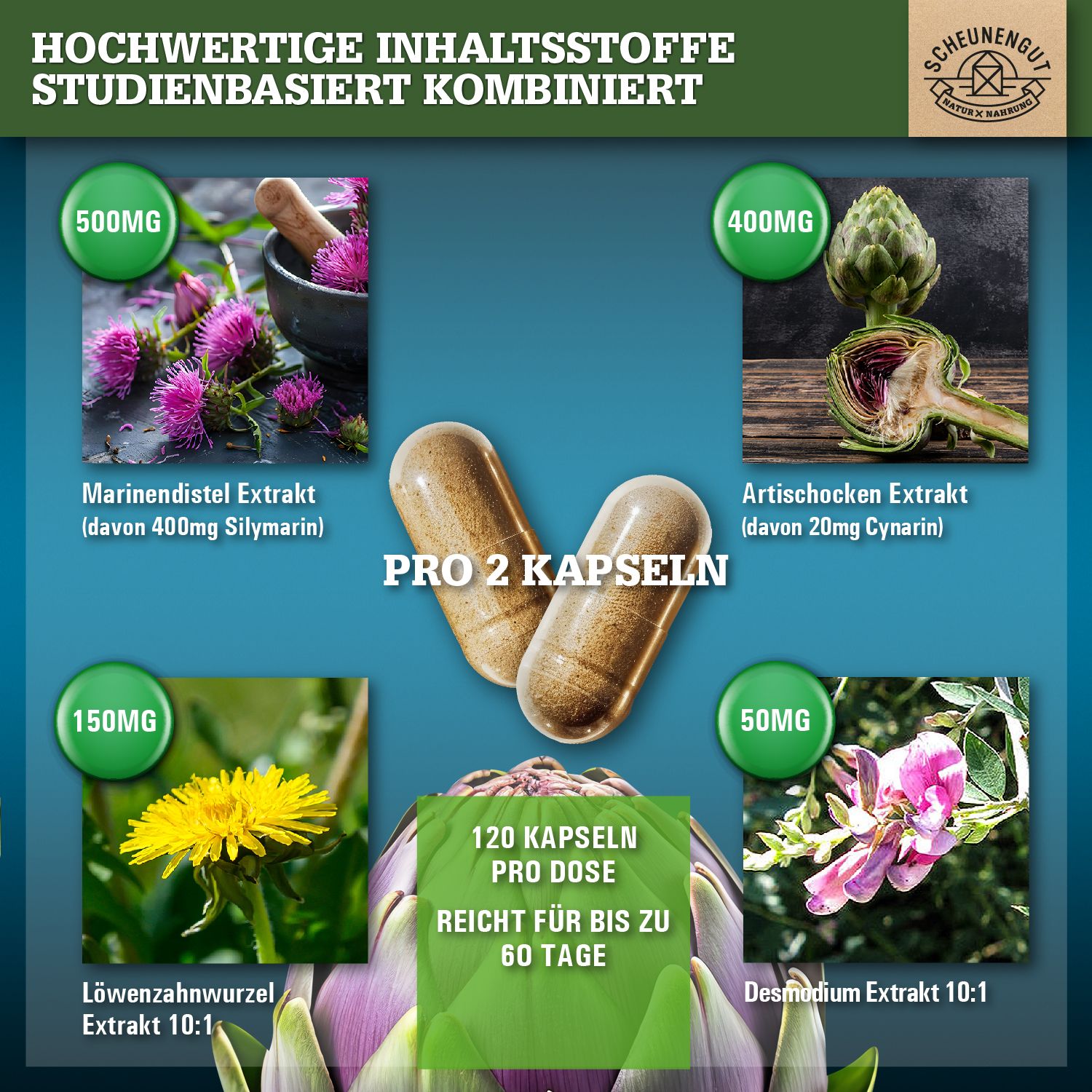 Scheunengut® Leber Intenso | Hochdosierte Kapseln 100% natürlich 120 St