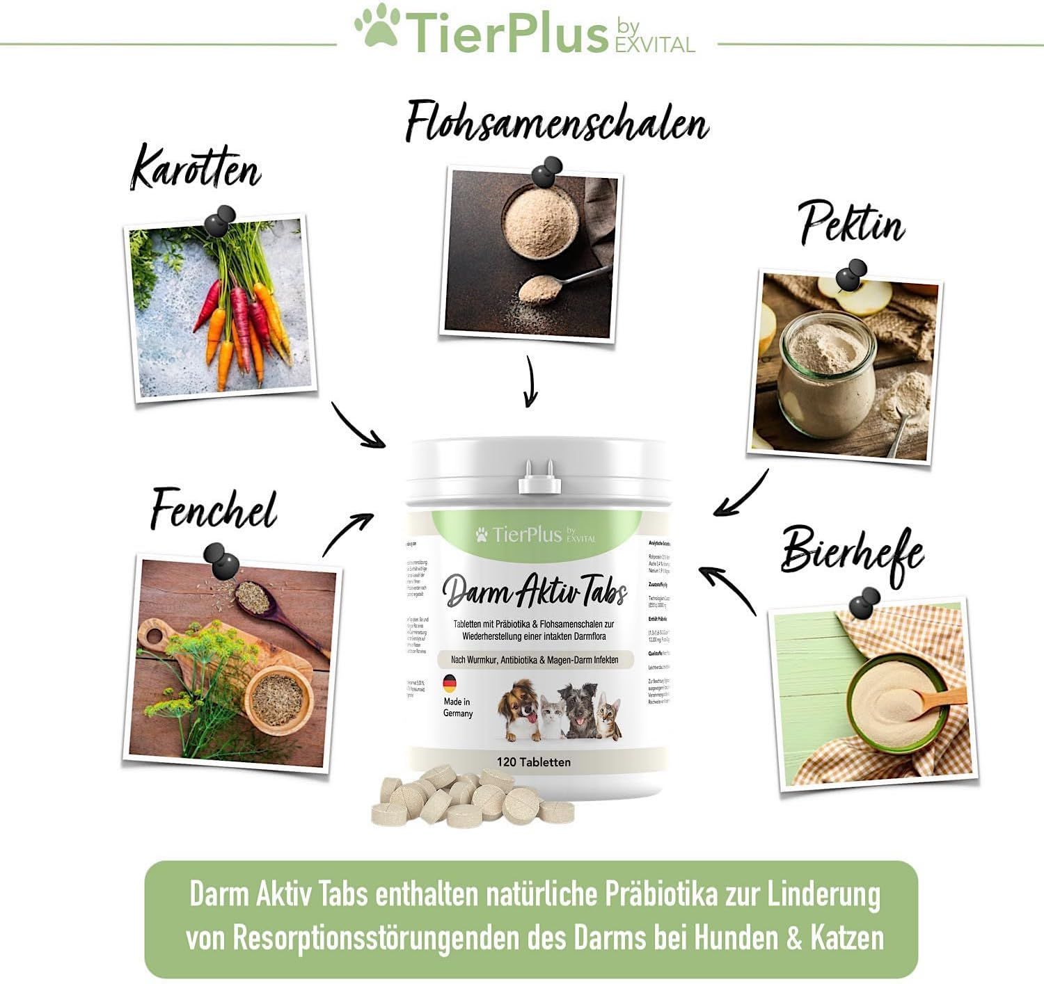 EXVital® TierPlus Darm Aktiv Tabletten für Hunde & Katzen, Präbiotika Komplex