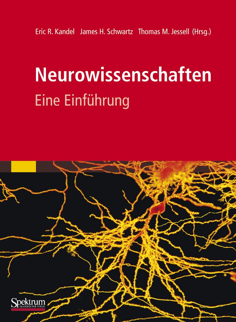 Buchcover: "Neurowissenschaften, Eine Einführung". Autorennamen. Roter Hintergrund mit gelben Nervenzellen. Logo "Spektrum".