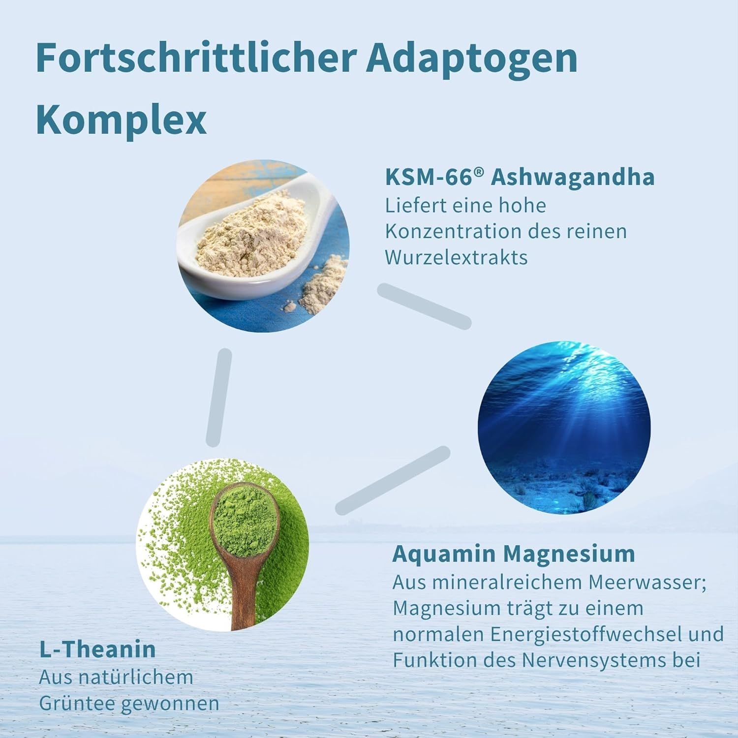Grafik eines 3-in-1-Komplexes mit Ashwagandha, Magnesium und L-Theanin.