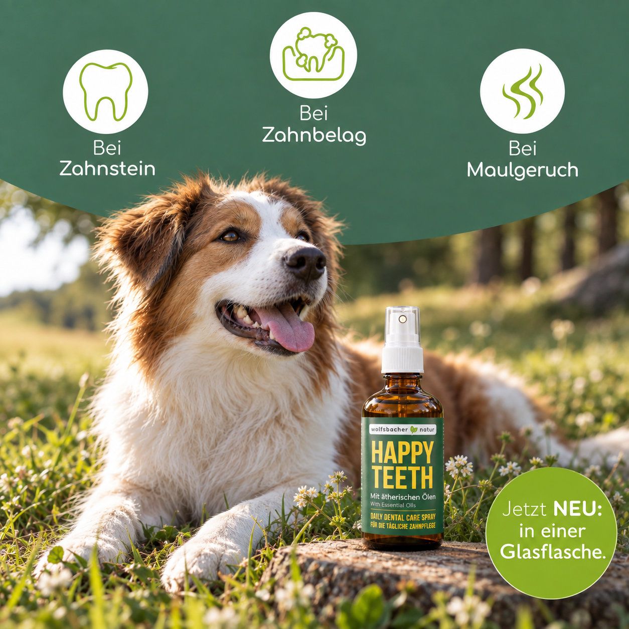 Braune Sprühflasche "Happy Teeth" mit Icons für Calendula, Boswellia und Kiefernöl auf grünem Hintergrund.