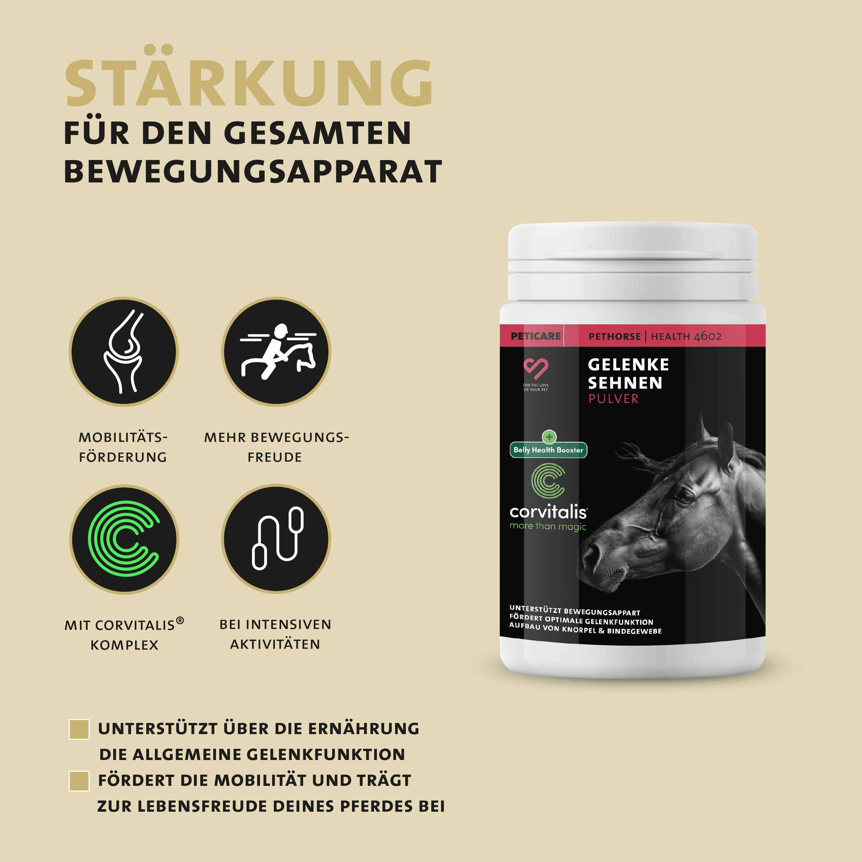 Produkt: Gelenke Sehnen Pulver. Dose mit Text. Stärkung für den gesamten Bewegungsapparat. corvitalis.