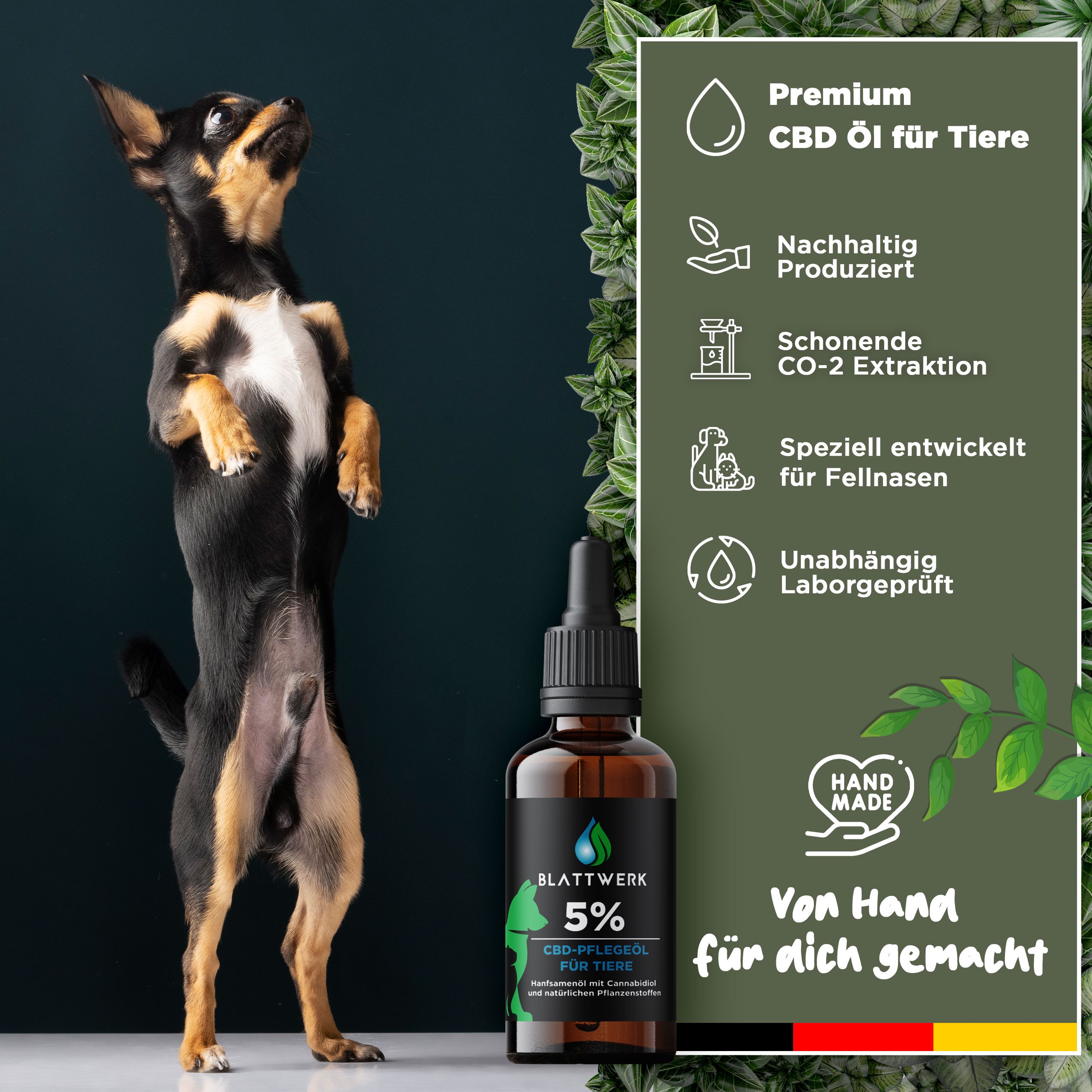 5% CBD Öl für Hunde & Katzen - Deutsche Qualität - CBD Öl Hund - 10ml - 250 CBD Tropfen - BLATTWERK