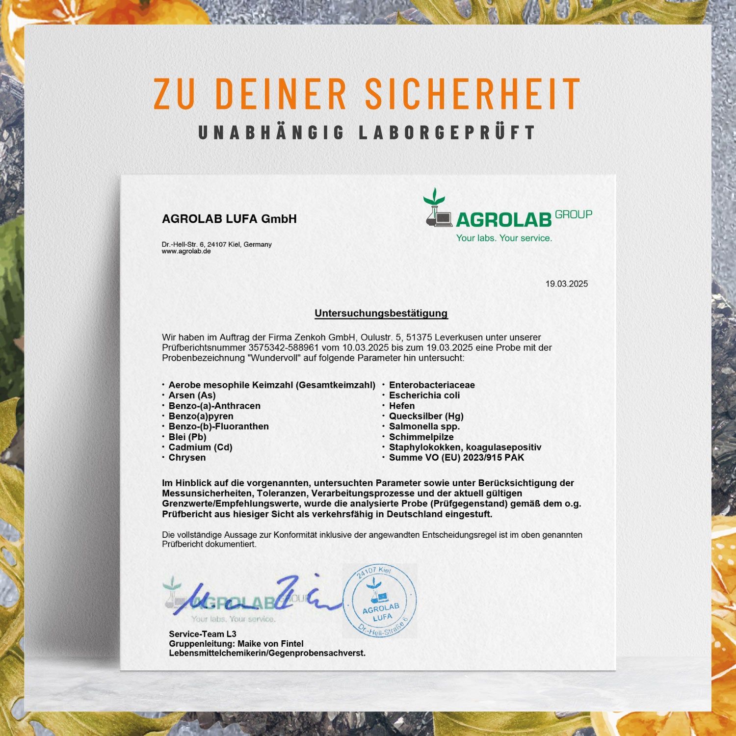 Zink Kapseln hochdosiert - Komplex aus drei Zinkformen - WUNDERVOLL - NATURTREU®