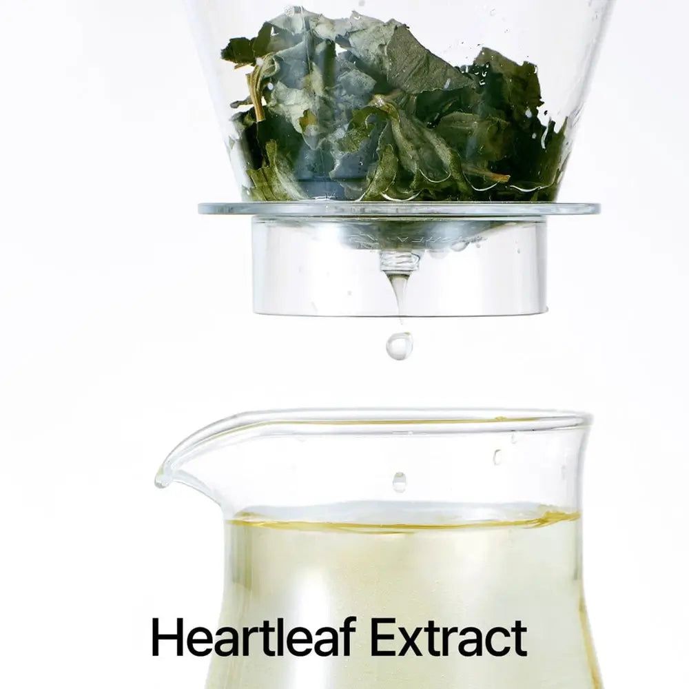 Glasbehälter mit Blättern und Tropfen. Unterhalb ein Glasbehälter mit Flüssigkeit. Text: Heartleaf Extract.