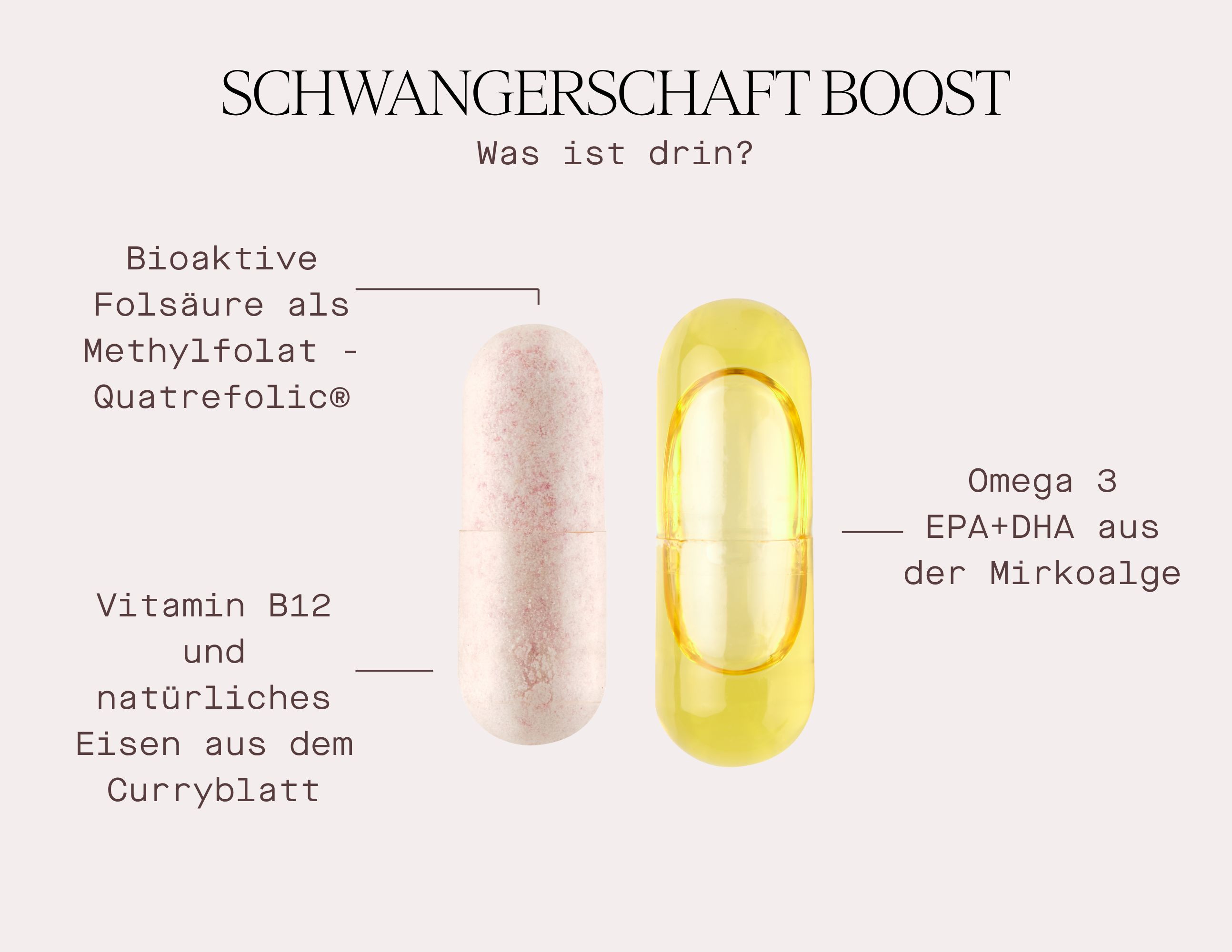 Zwei Kapseln, eine rosa, eine gelb. Text: Schwangerschaft Boost, Was ist drin?