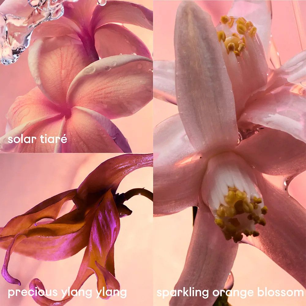 Blüten von Solar Tiaré, kostbarem Ylang-Ylang und spritziger Orangenblüte. Rosa Farbgebung.