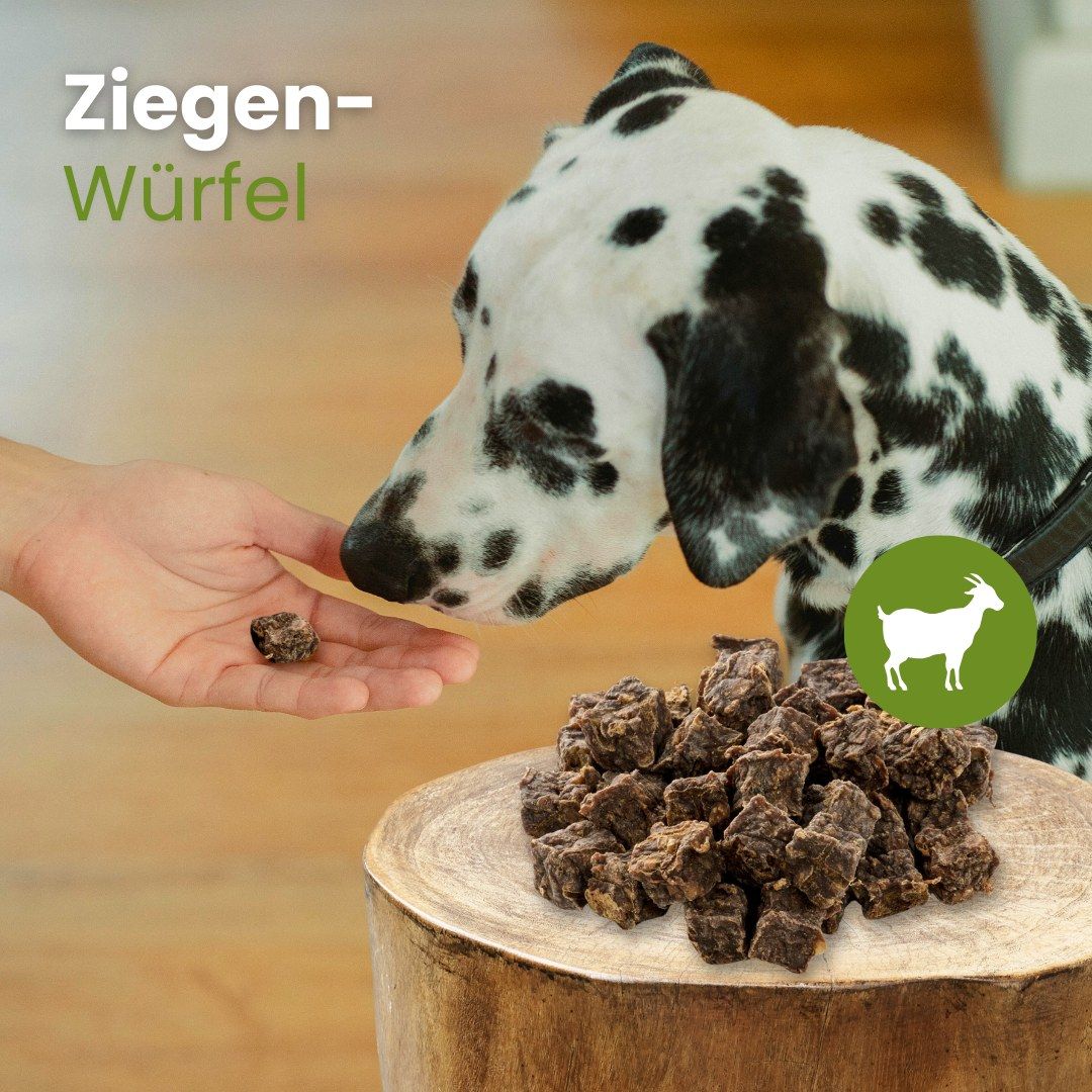 Ziegen-Würfel für Hunde, getrocknet, in Würfelform.