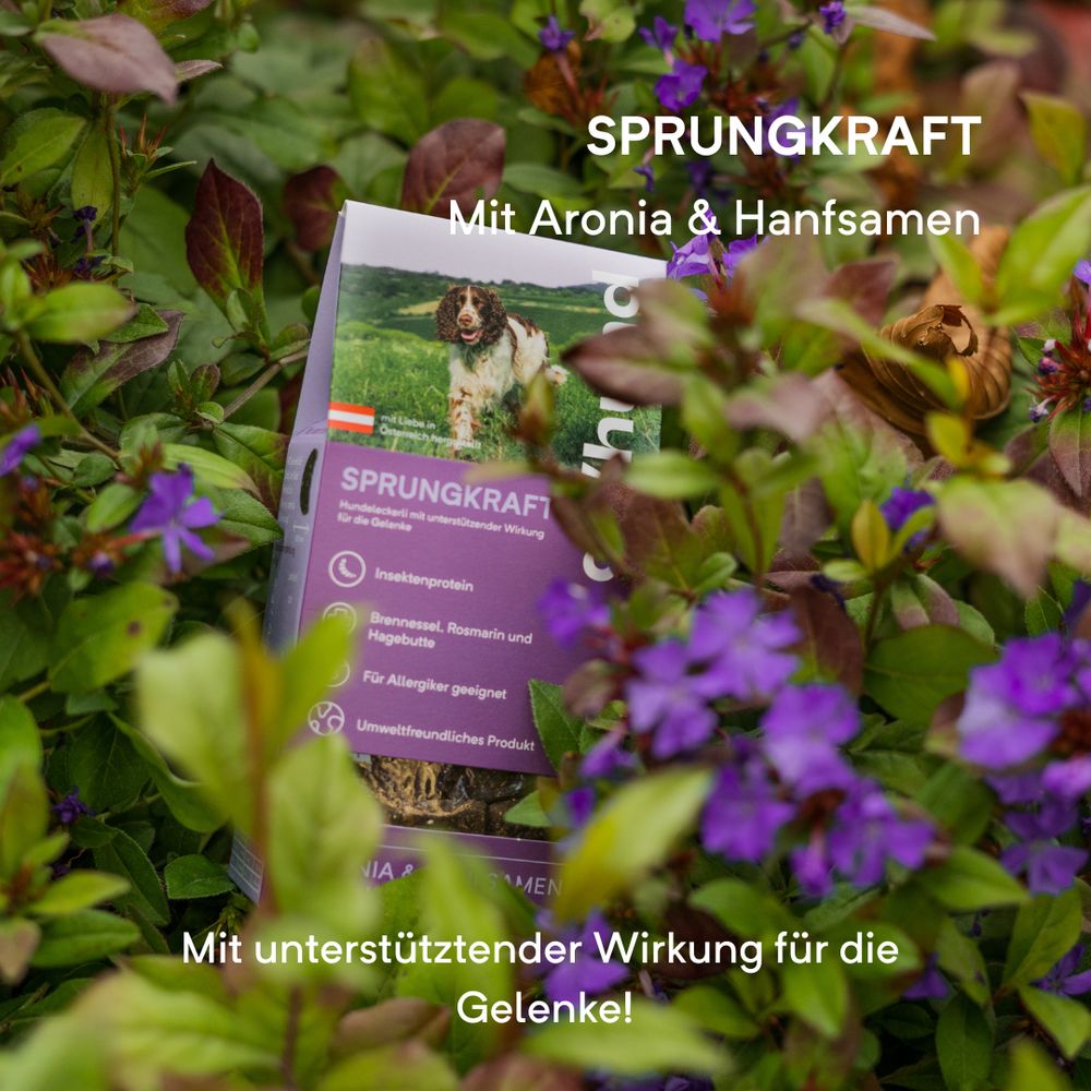 Verpackung mit Produkt, Text: Sprungkraft, Mit Aronia & Hanfsamen. Grünpflanzen im Hintergrund.