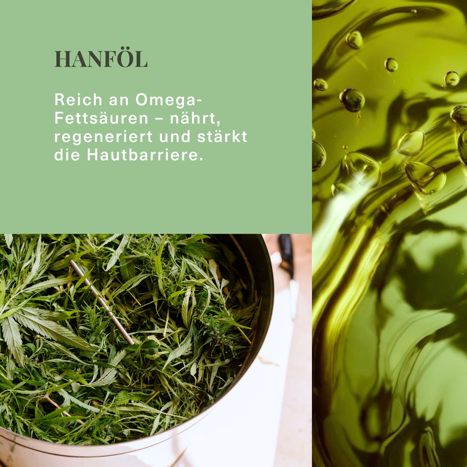 Hanfblätter in Schüssel, daneben Öl. Text: Reich an Omega-Fettsäuren – nährt, regeneriert und stärkt die Hautbarriere.