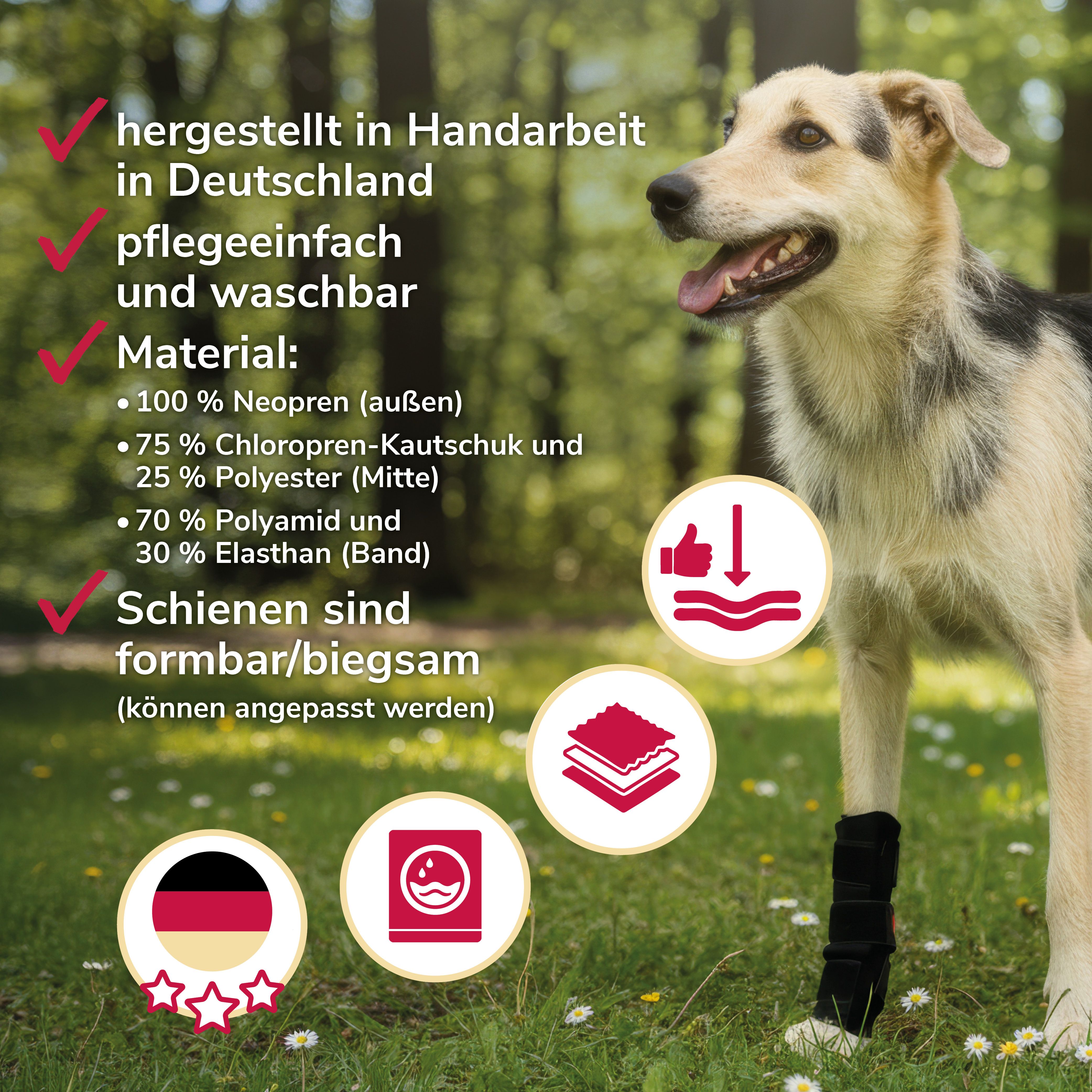 Hund mit schwarzer Karpalgelenkbandage. Text: hergestellt in Deutschland, pflegeleicht, waschbar. Material: Neopren, Chloropren, etc.