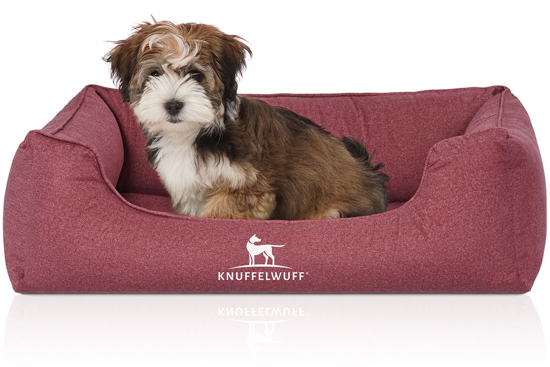 Burgunderfarbenes Hundebett mit Hund. Logo mit Hund und Schriftzug. Hund sitzt im Bett.