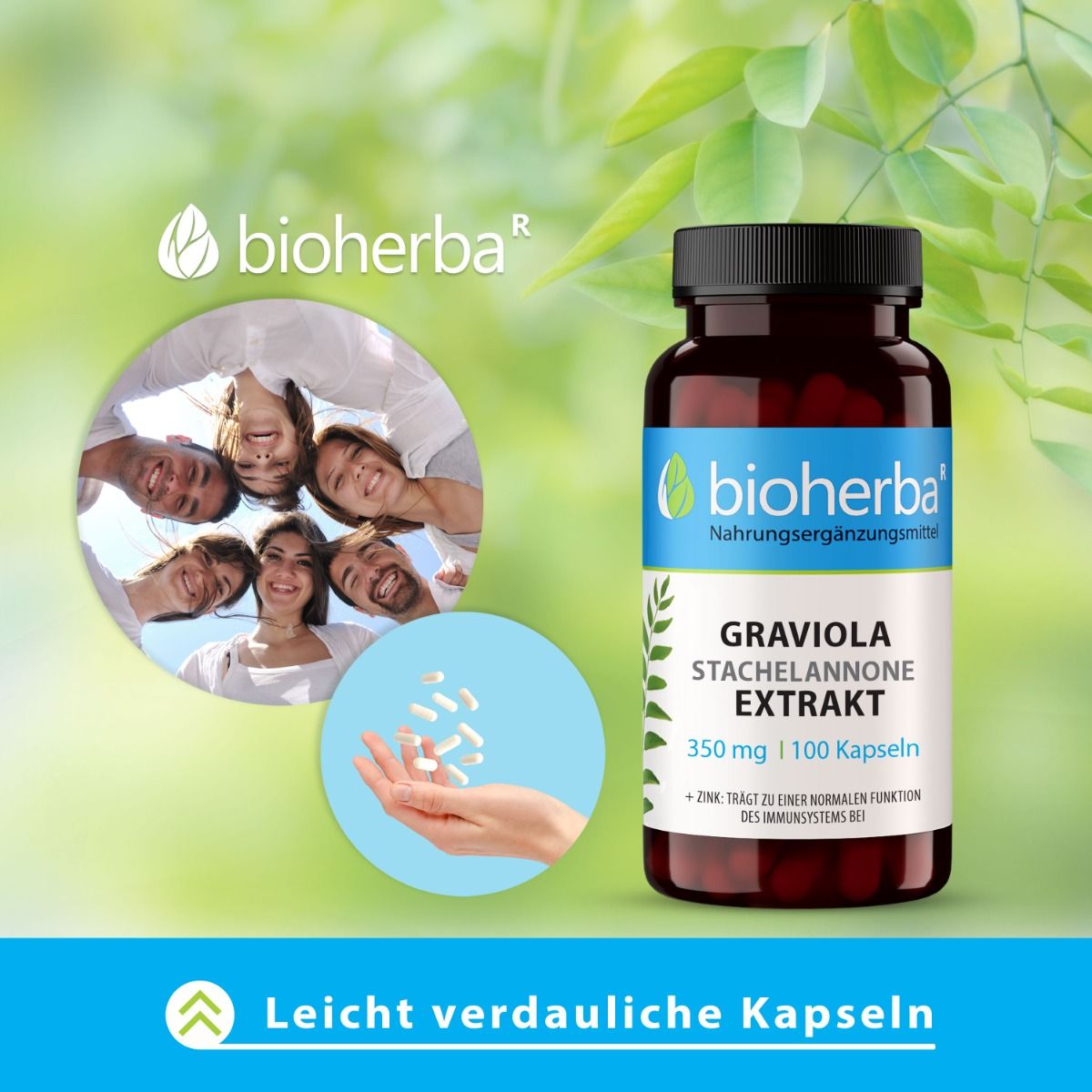 Graviola Stachelannone Extrakt 350 mg 100 Kapseln  PZN 19642706