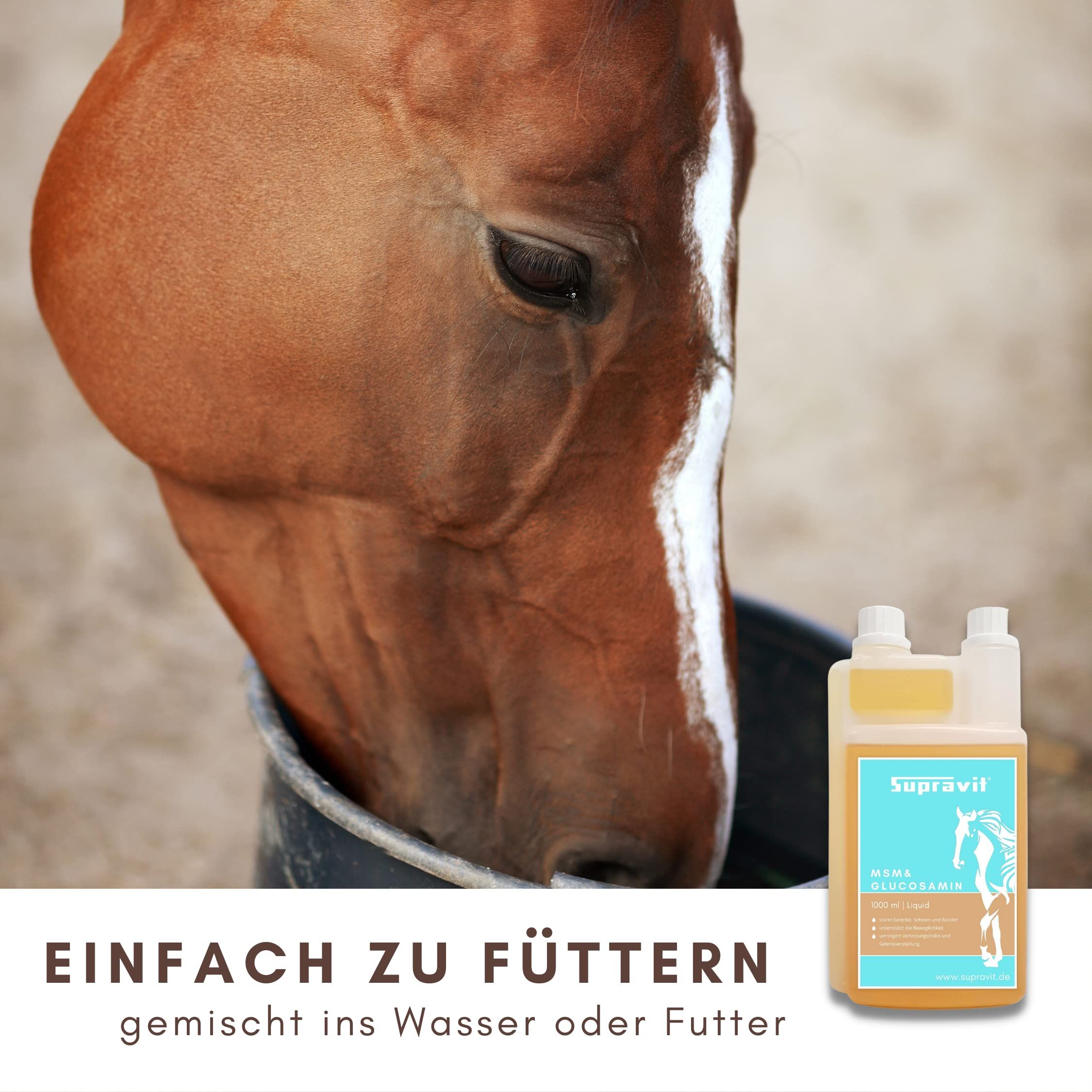 Flüssiges Ergänzungsfuttermittel. Aufschrift: Supravit MSM & Glucosamin. Flasche neben Pferd, das trinkt. Text: Einfach zu füttern.