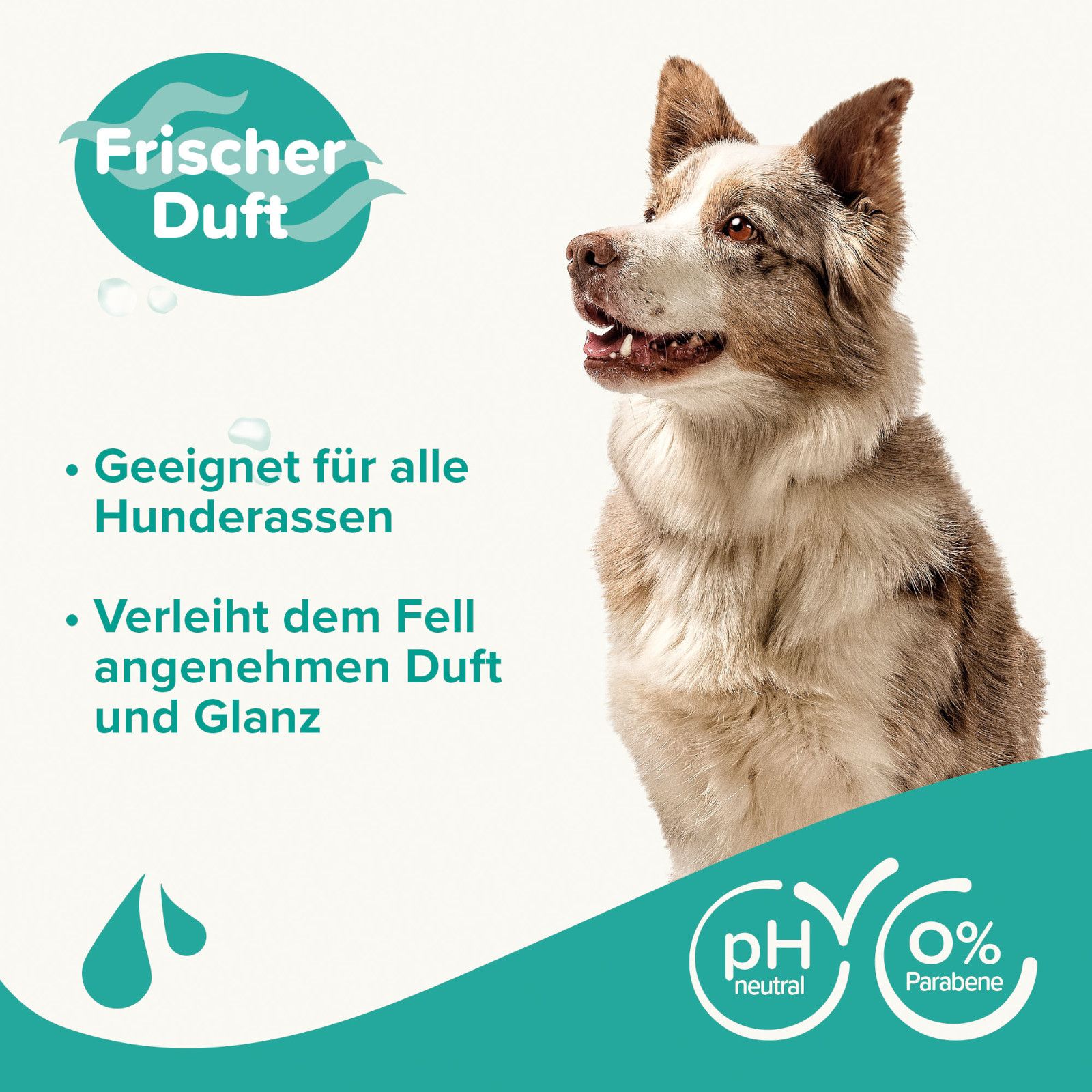 Beaphar - Hunde Shampoo Fell-Glanz 250 ml