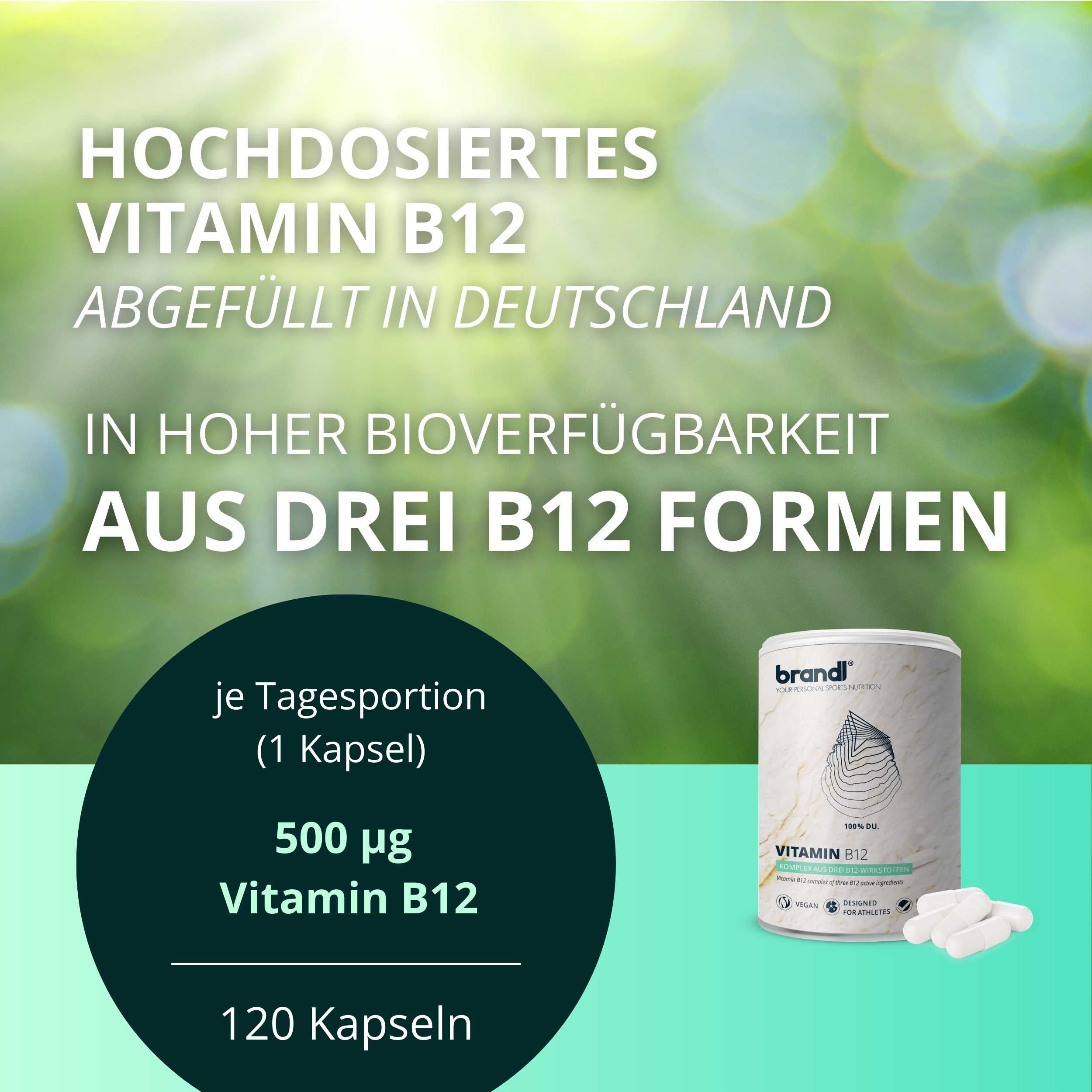 brandl® Vitamin B12 aus 3 Aktivformen vegan 240 St Kapseln