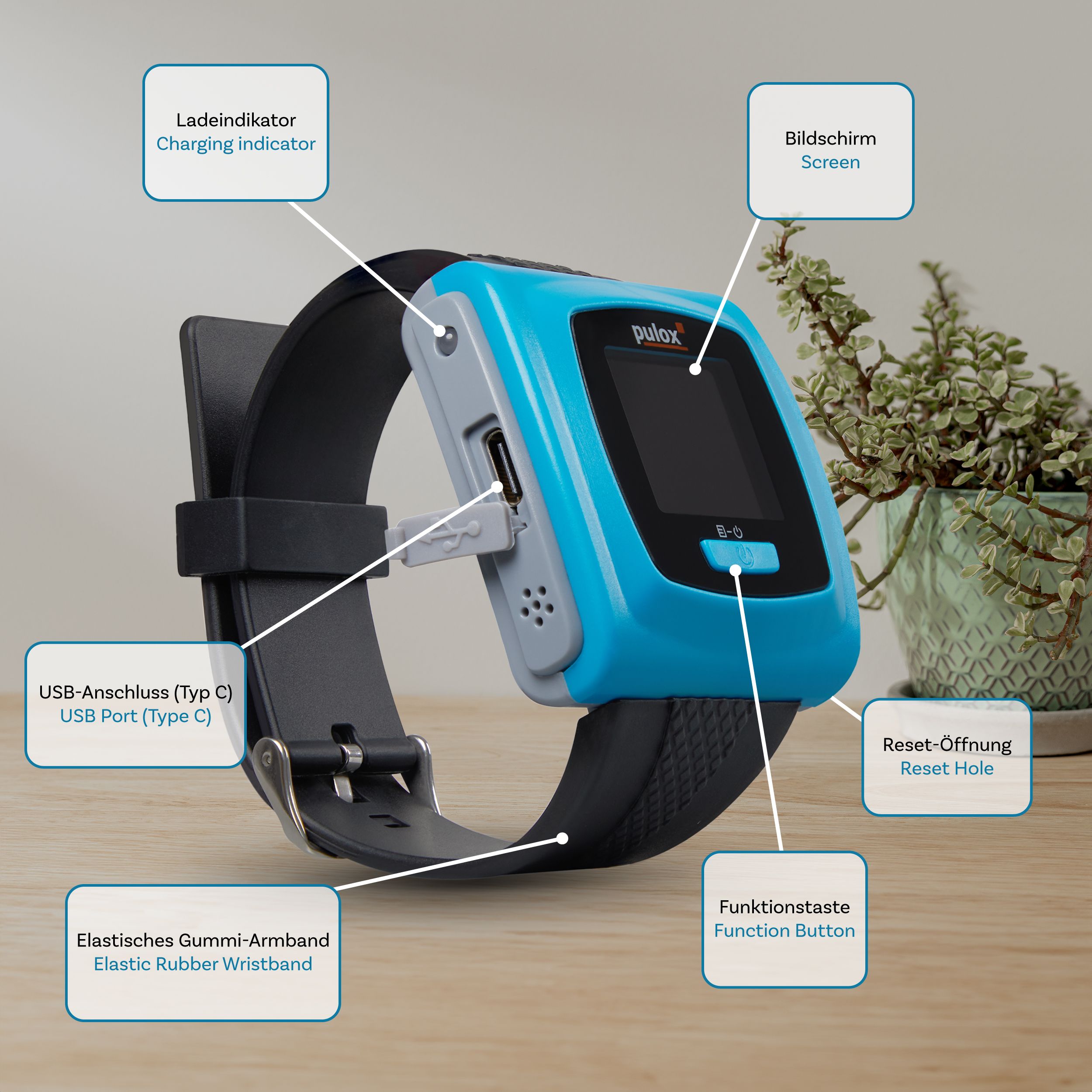 pulox Pulsoximeter PO-400