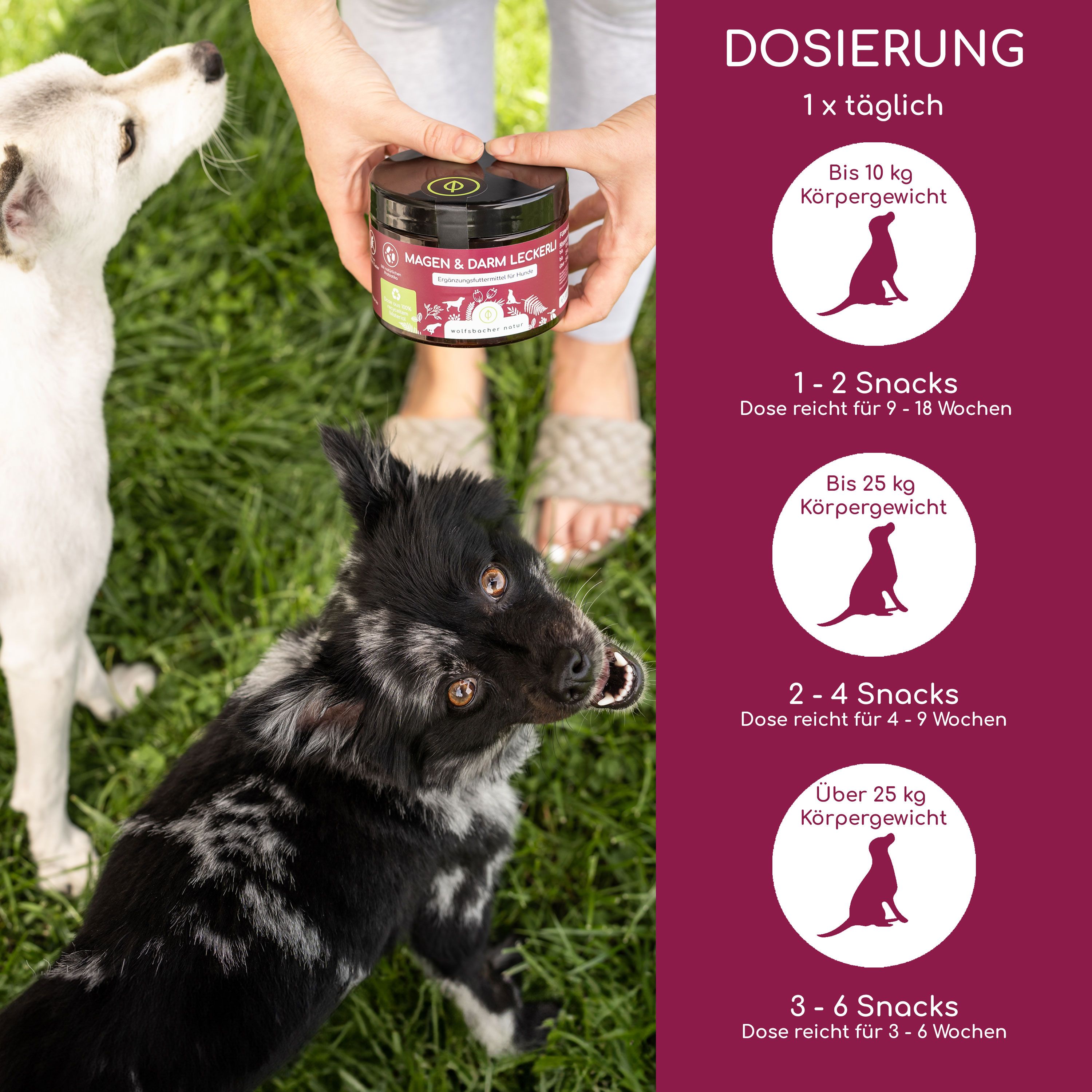 Dose mit rotem Etikett. Aufschrift: Magen & Darm Leckerli. Dosierung: 1x täglich. Angaben zur Fütterung nach Körpergewicht des Hundes.