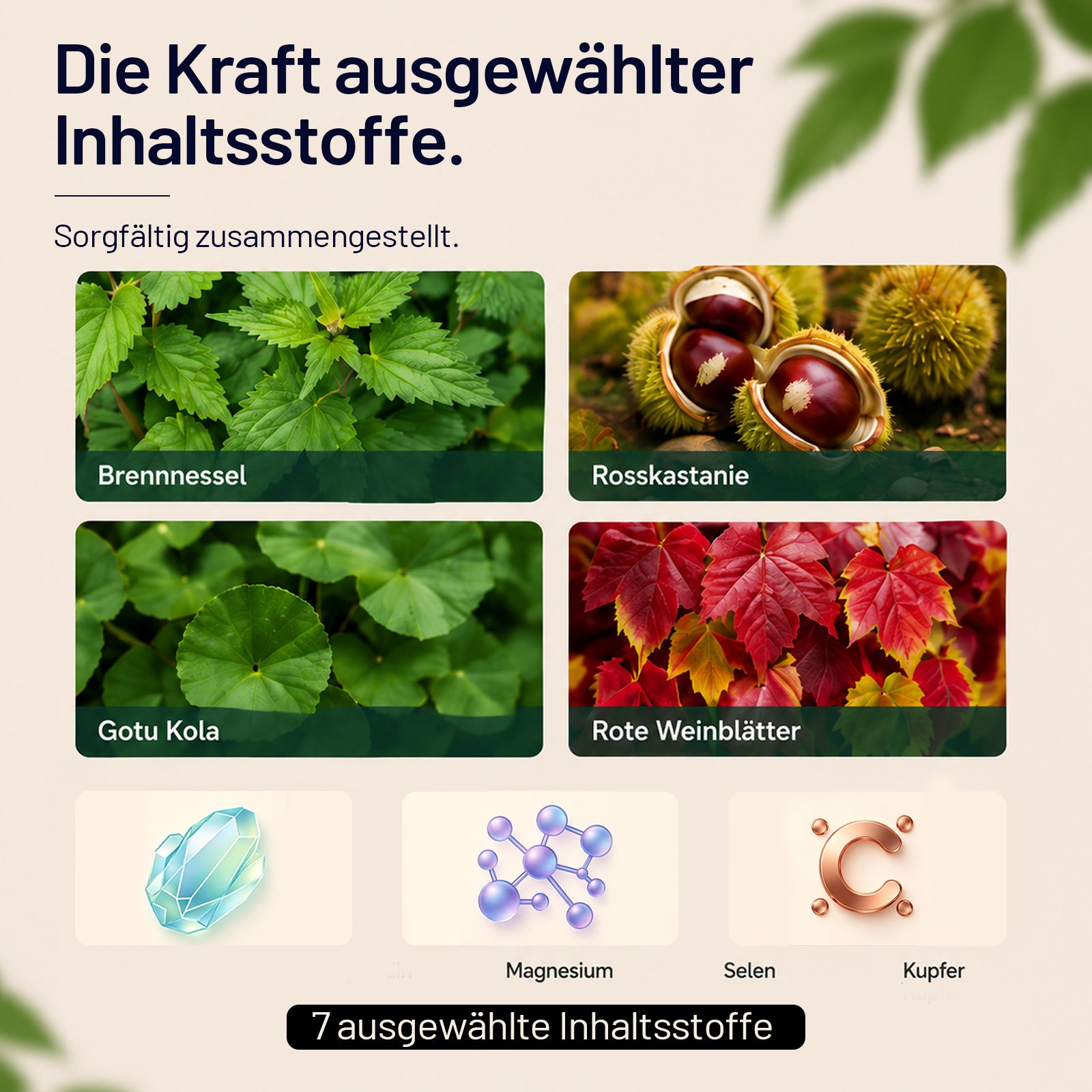 SonneSee Wasser Balance: Die Kraft ausgewählter Inhaltsstoffe wie Brennnessel, Rosskastanie, Gotu Kola, Rote Weinblätter, Selen, Kupfer.