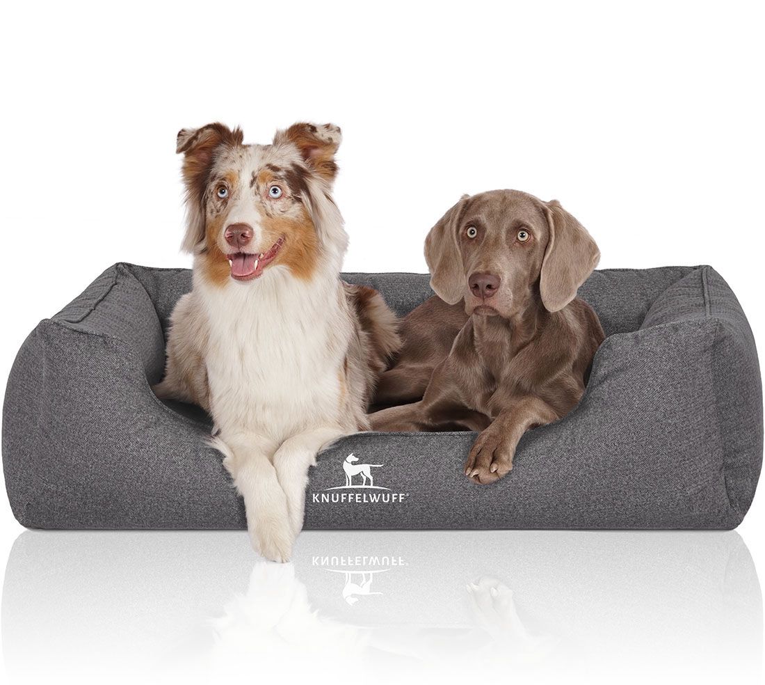 Graues orthopädisches Hundebett Malou. Zwei Hunde liegen im Bett. Knuffelwuff Logo.