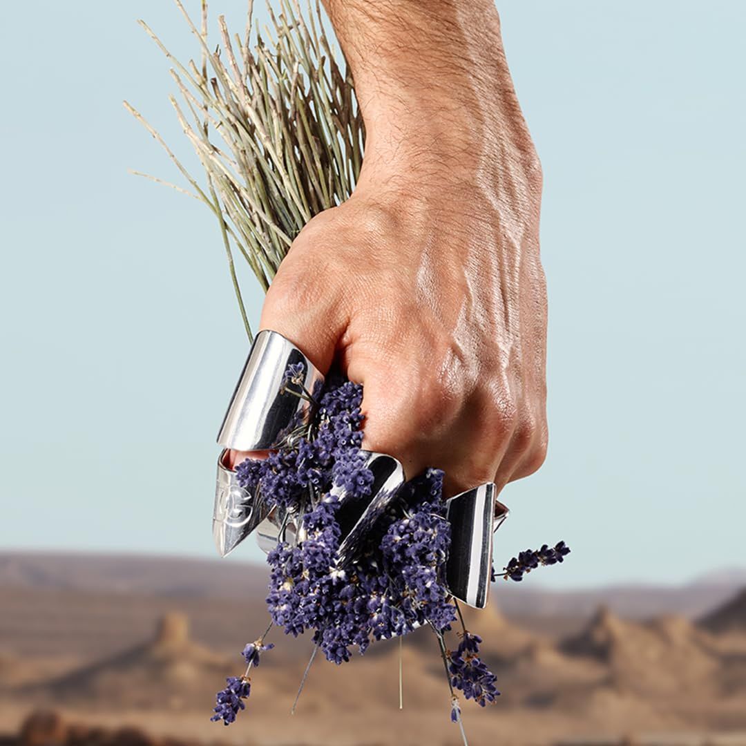 Hand mit silbernen Fingerschutzringen hält Lavendelblüten und -stiele. Hintergrund: Wüstenlandschaft.