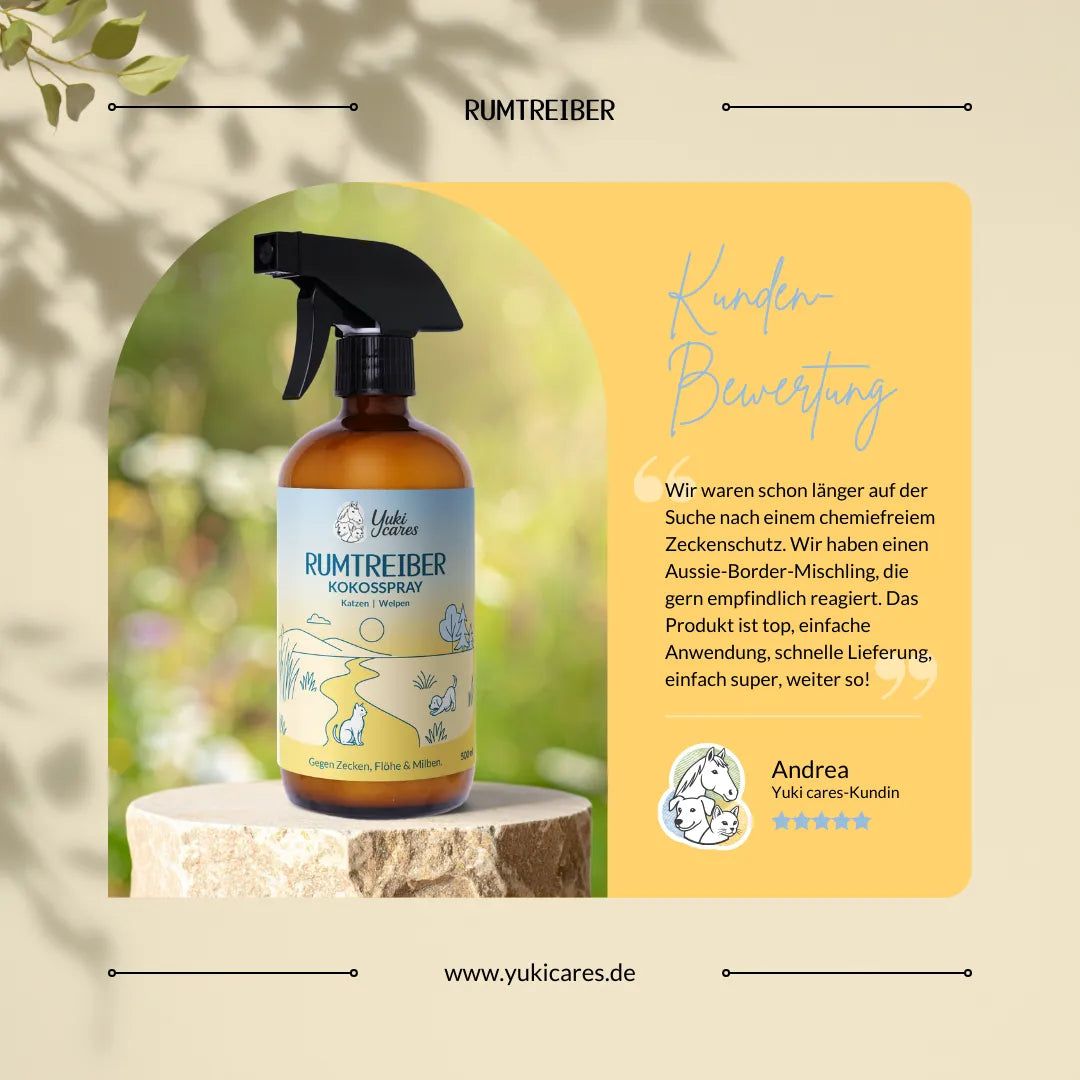 Braune Sprühflasche mit Etikett. Aufschrift: Rumtreiber Kokosspray. Auf gelbem Hintergrund mit Kundenbewertung.