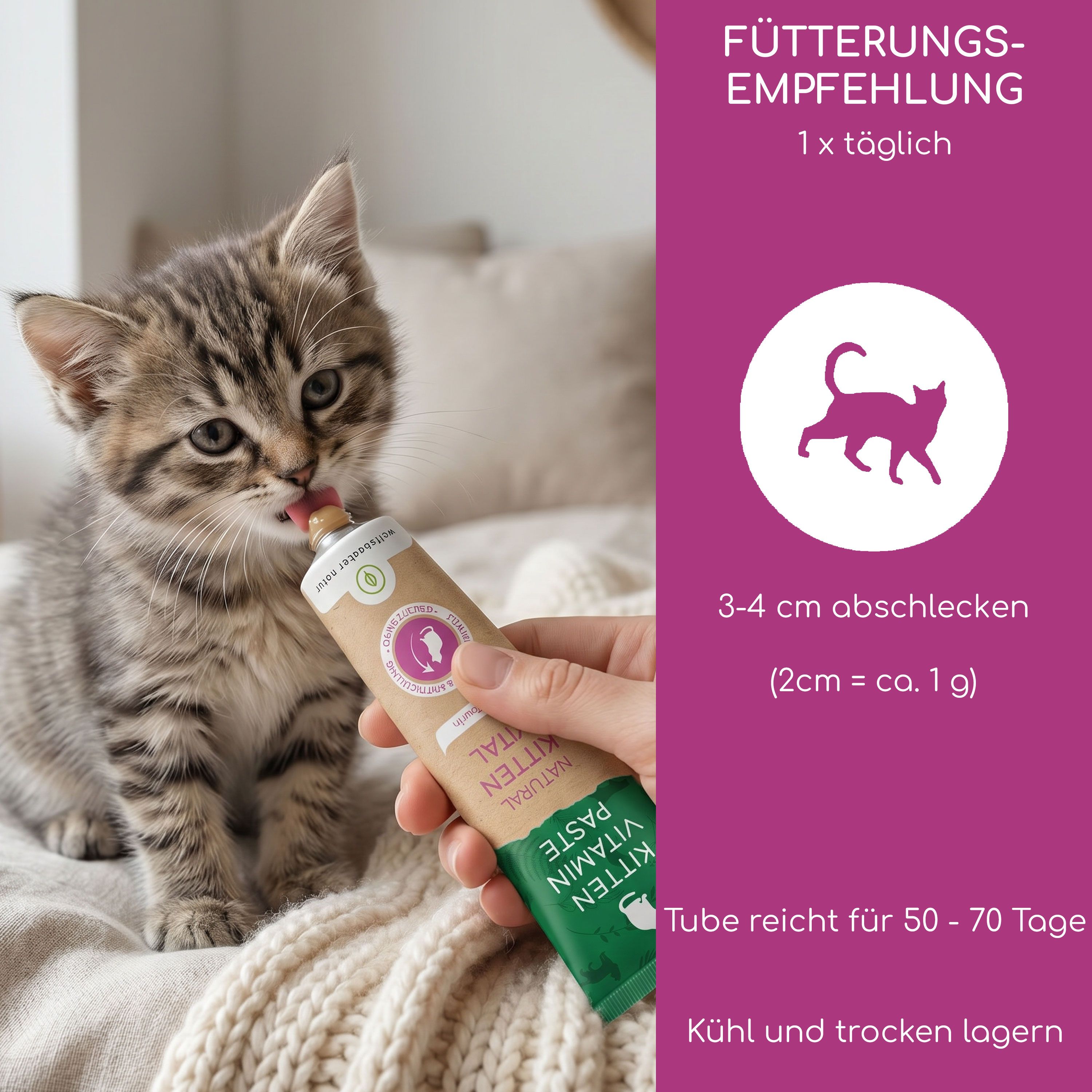 Hand füttert Katze Kitten Vitamin Paste aus Tube, Fütterungsempfehlung.